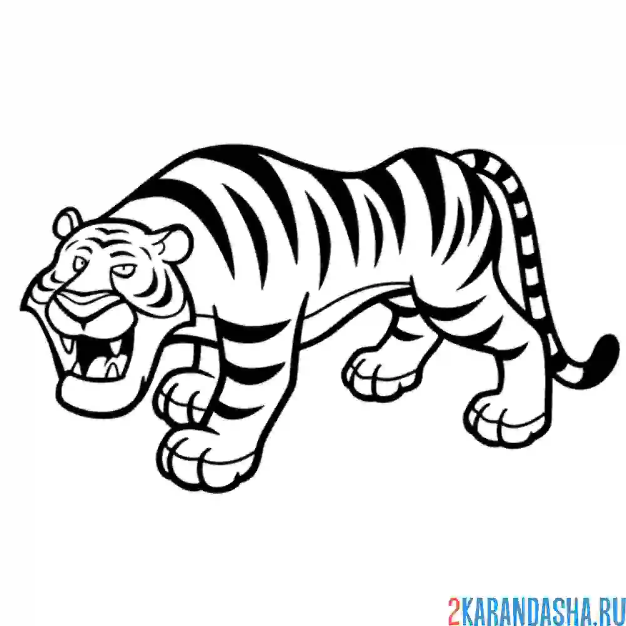 Раскраска большой тигр