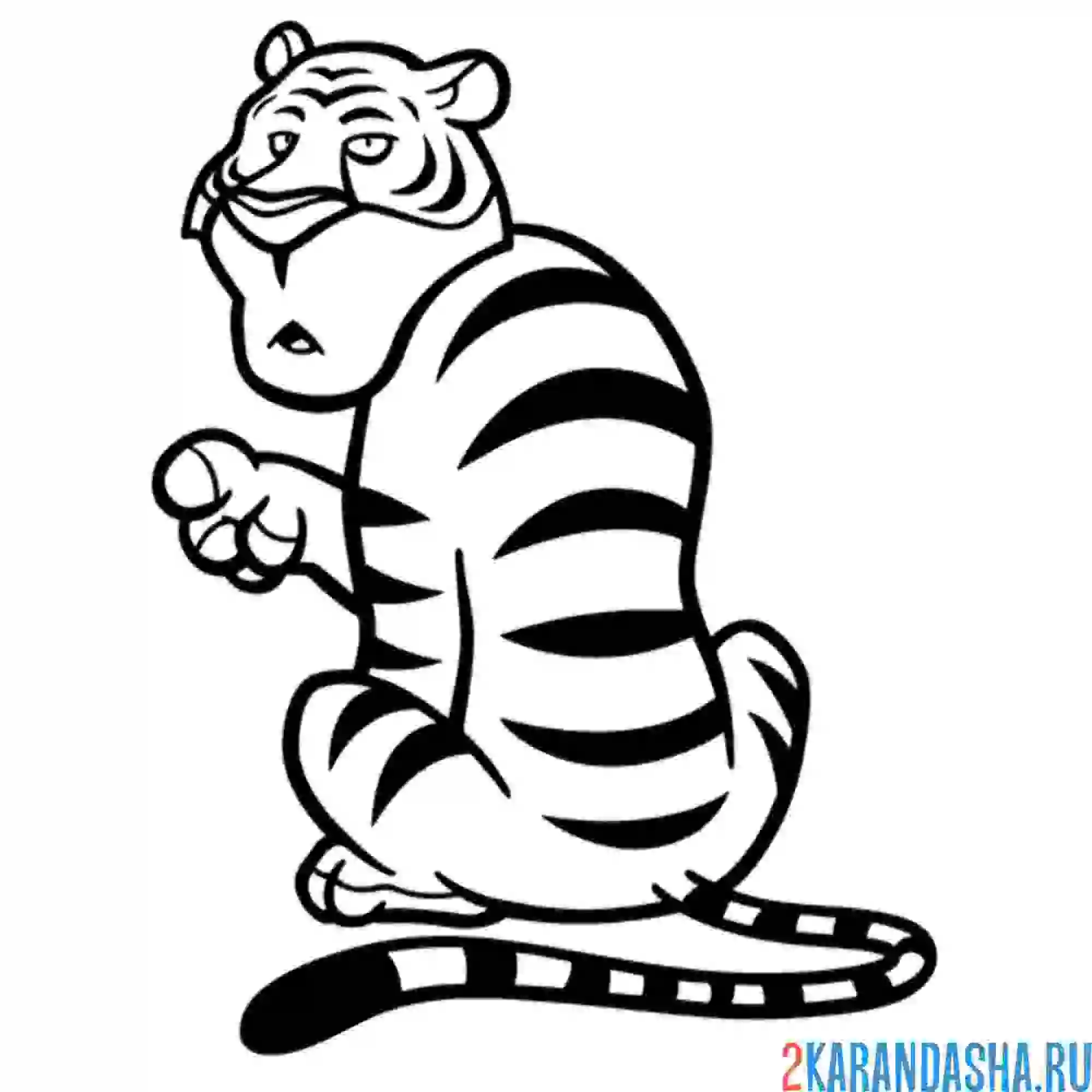 Раскраска тигр спиной