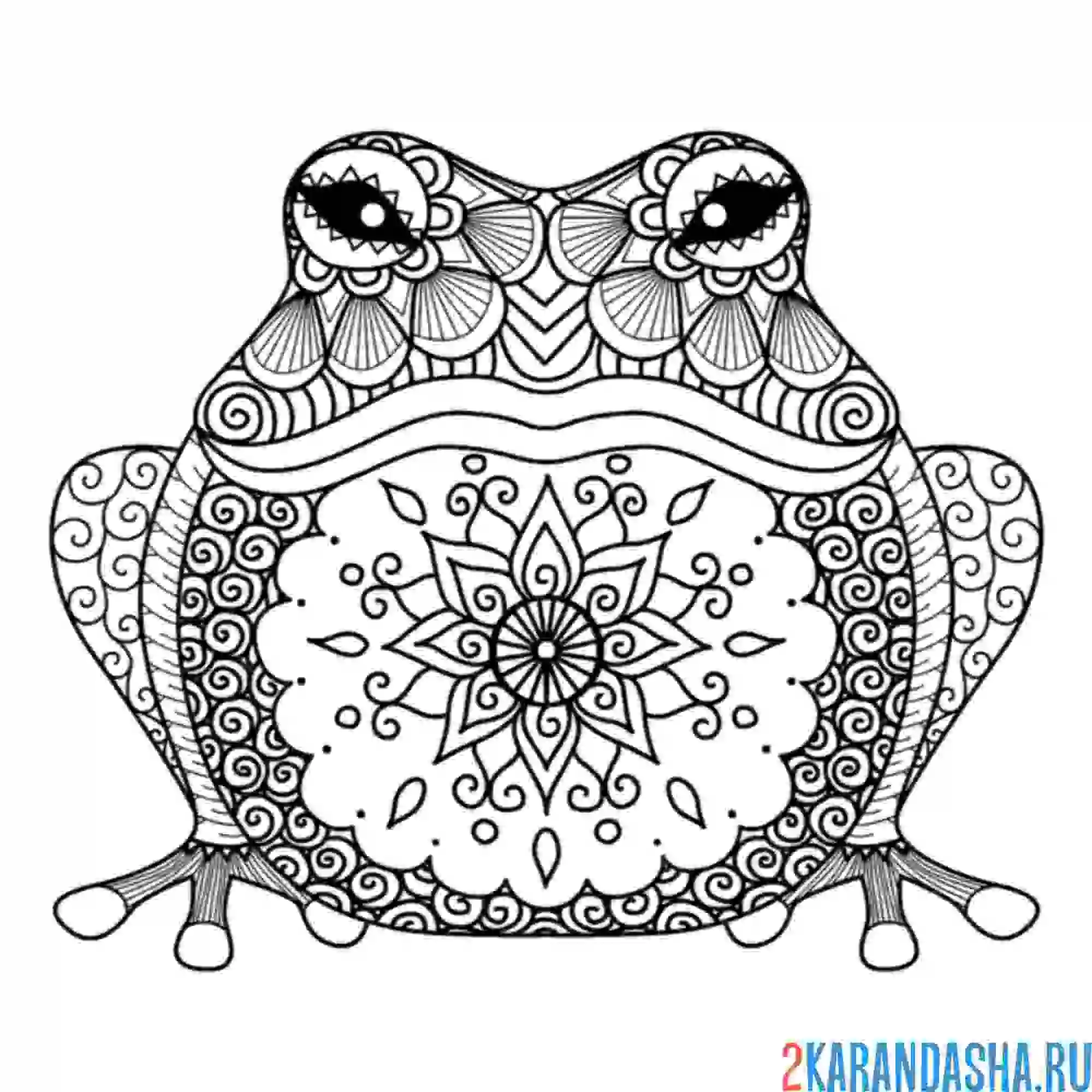Раскраска лягушка жаба антистресс
