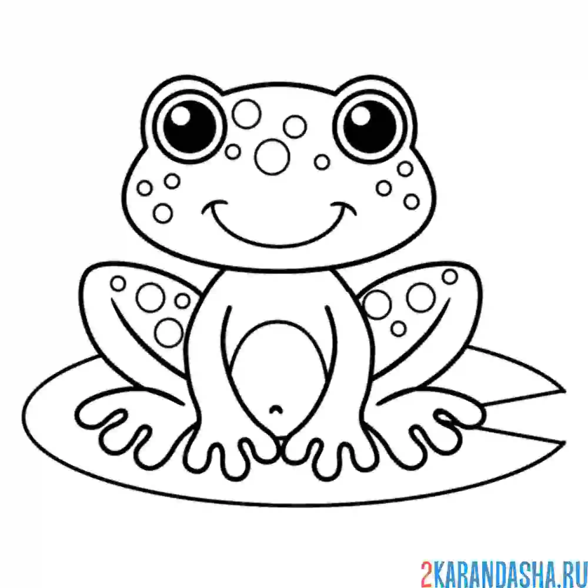 Раскраска лягушонок сидит на кувшинке