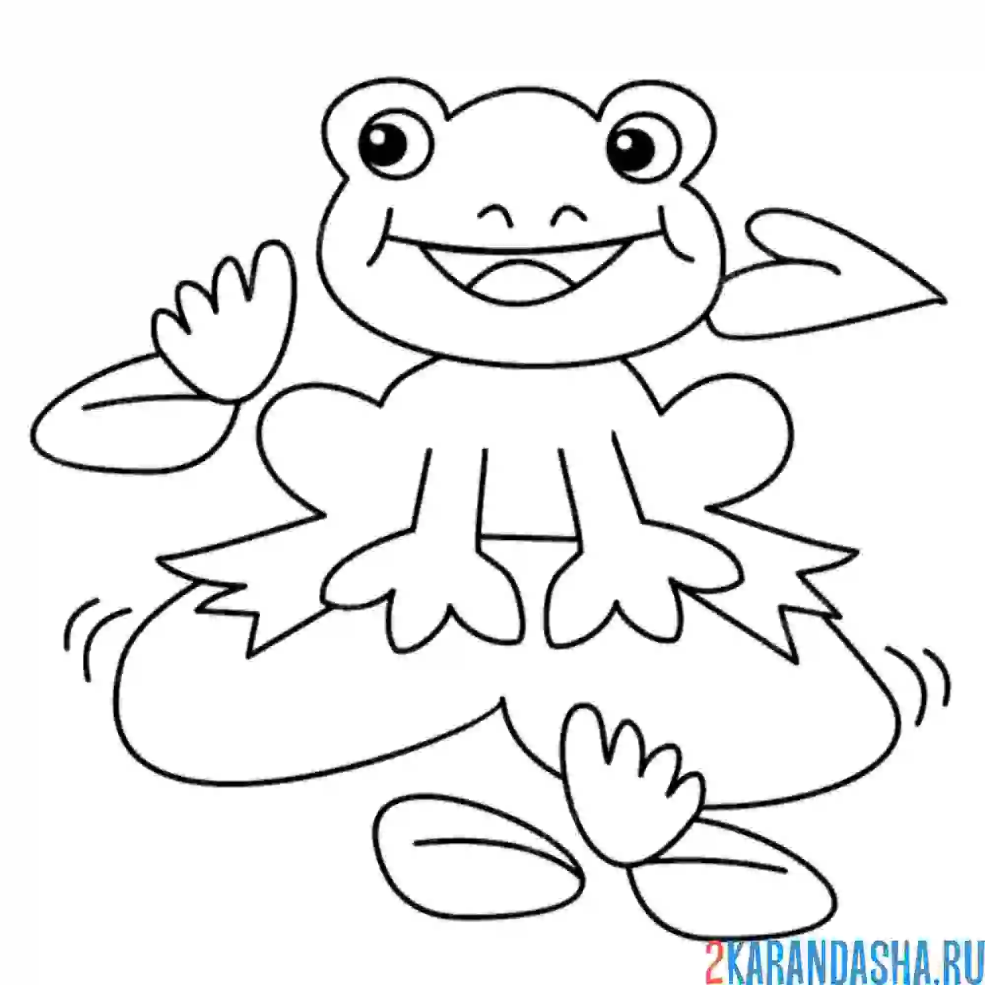 Раскраска лягушка на кувшинке