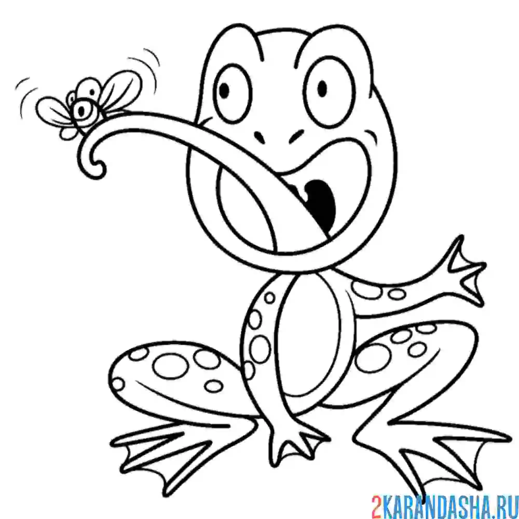 Раскраска охотник лягушка