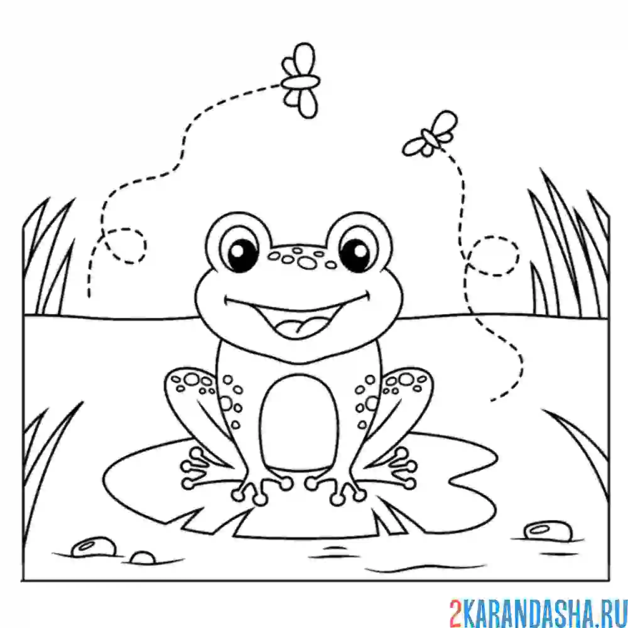 Раскраска лягушка на озере