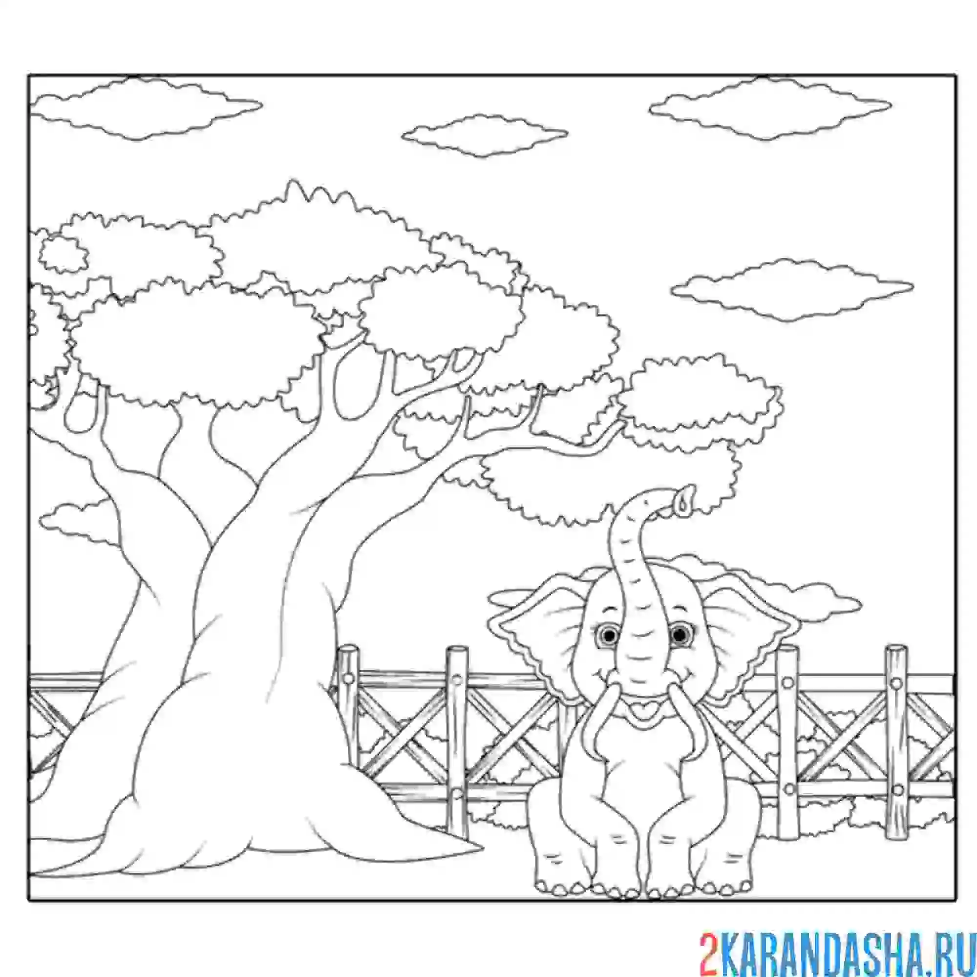 Раскраска слов в зоопарке