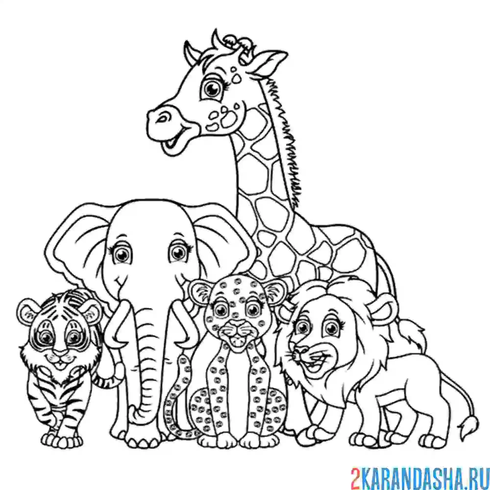 Раскраска слон среди диких животных