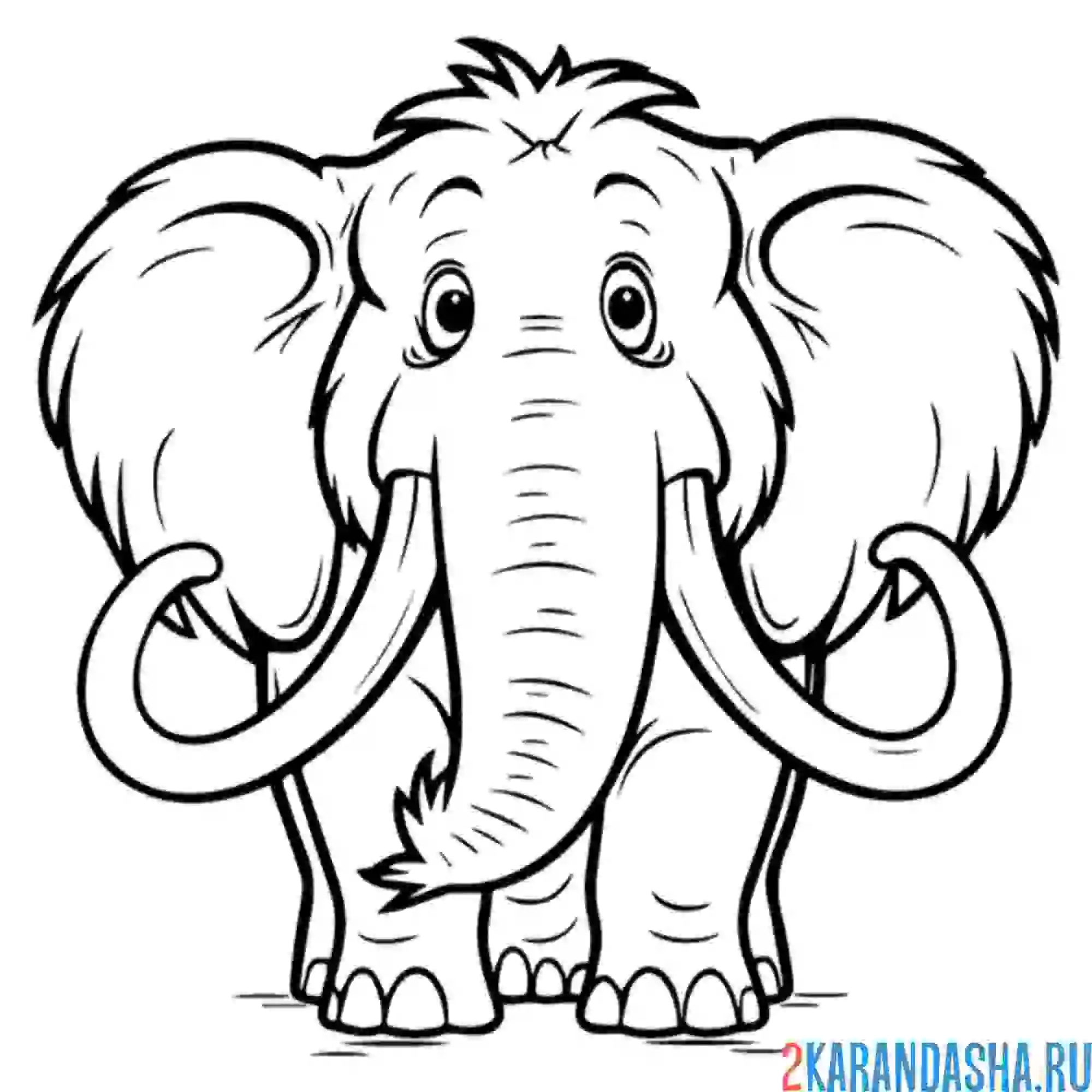 Раскраска мамонт с бивнями