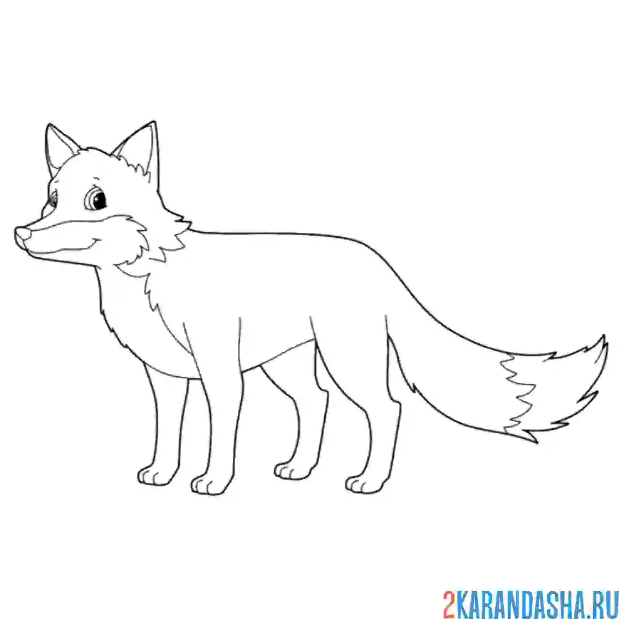 Раскраска лиса в полный рост
