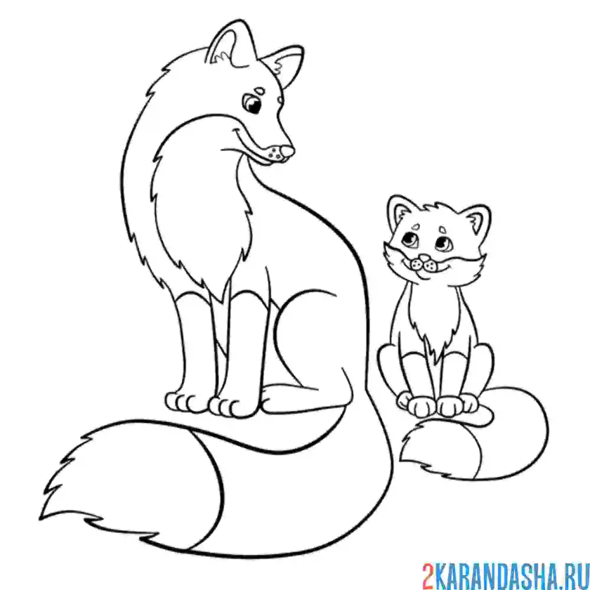 Раскраска лиса и малыш лисенок
