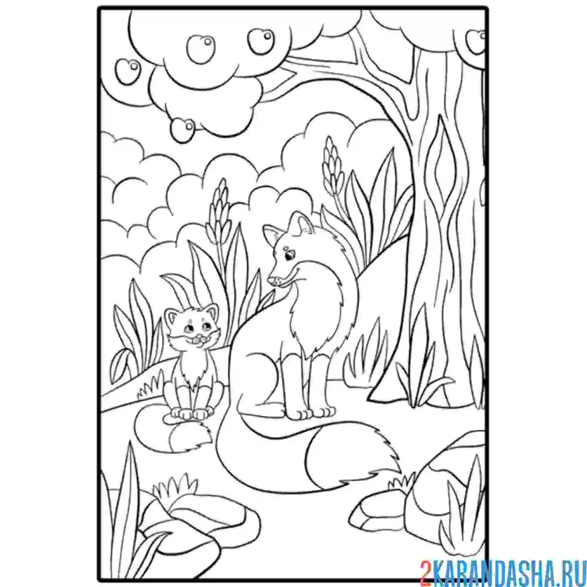 Раскраска лиса с лисенком в лесу