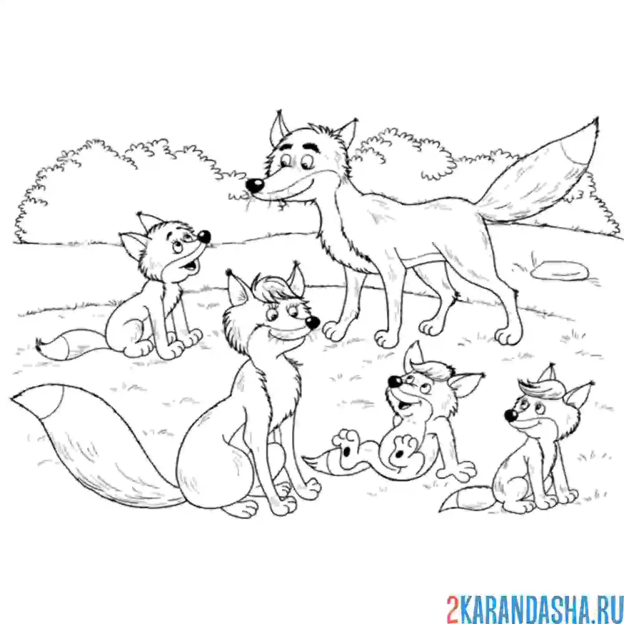 Раскраска семья лисы