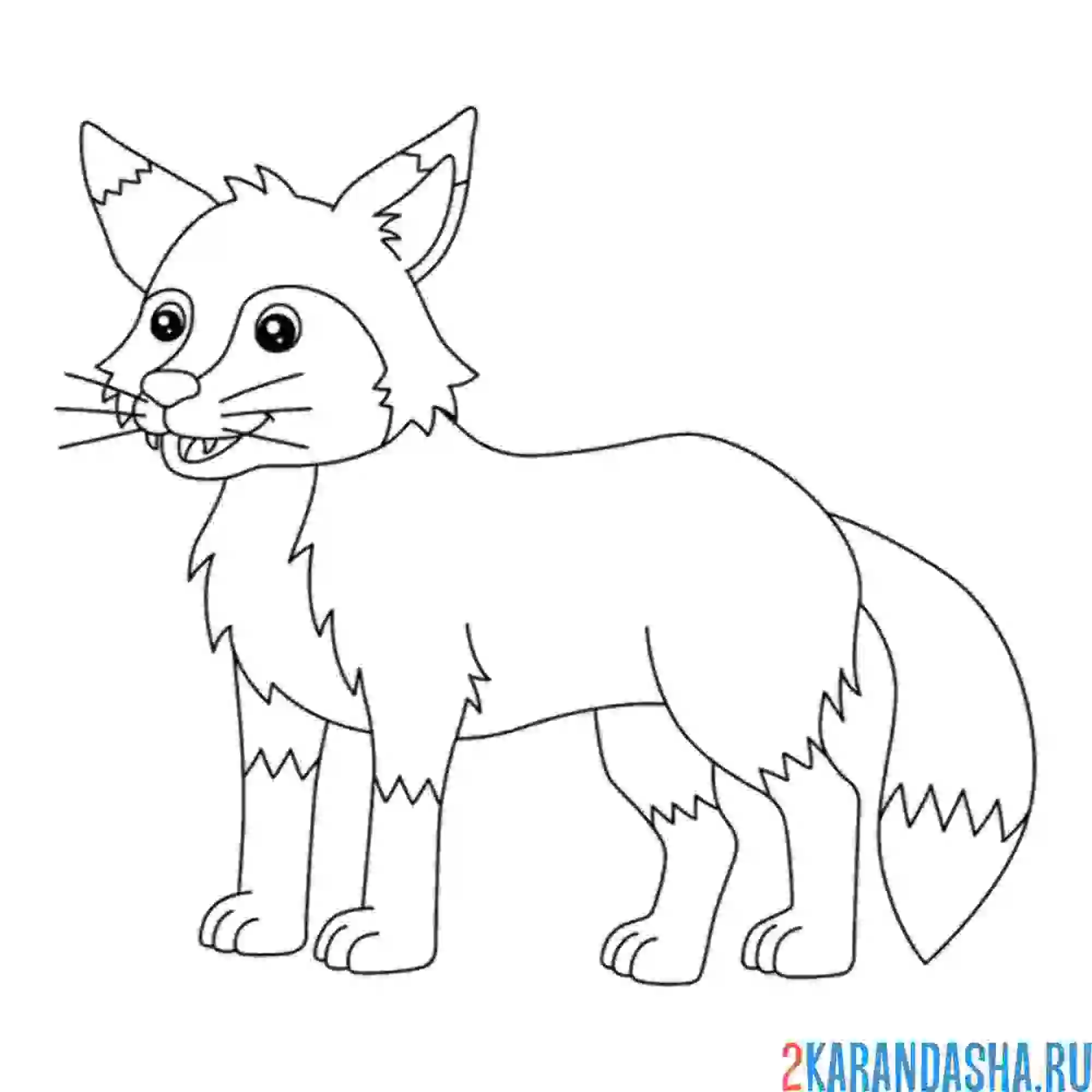 Раскраска настоящая лиса