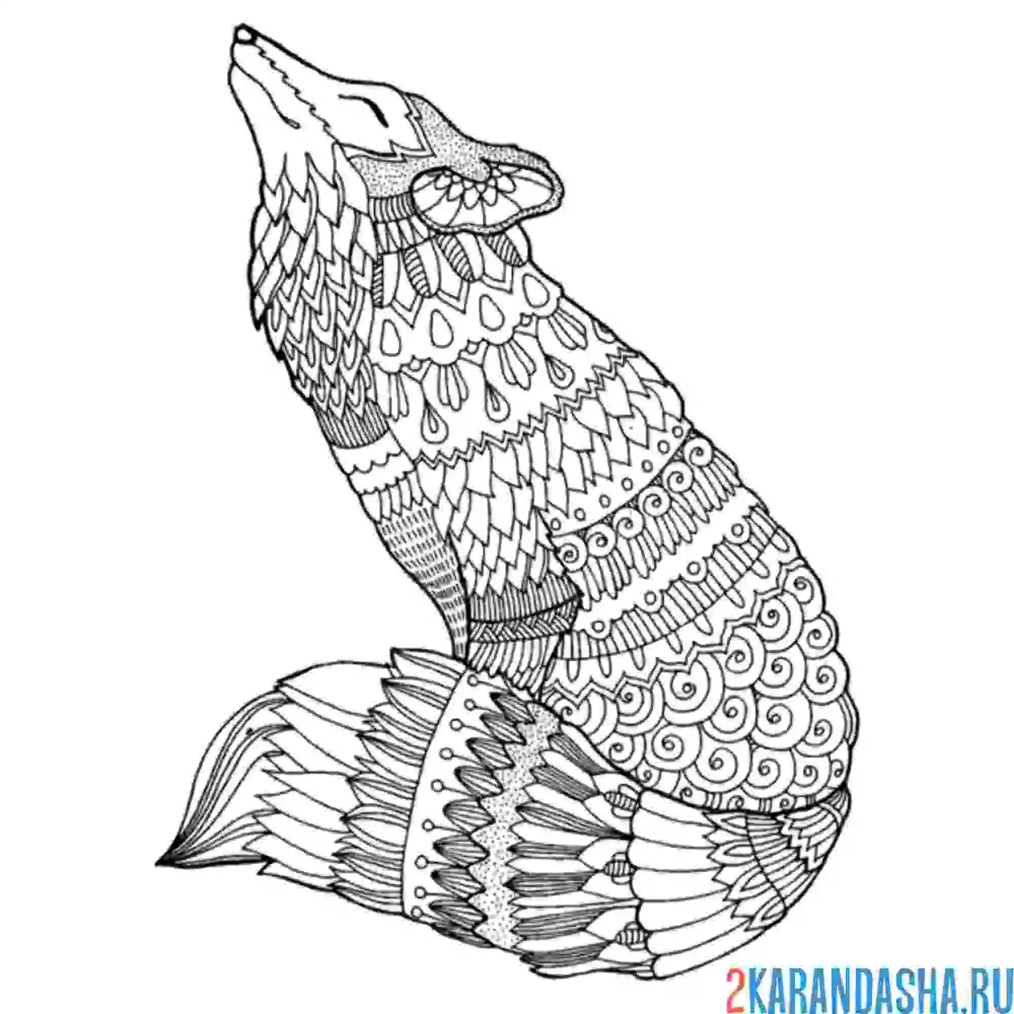 Раскраска антистресс лиса с хвостом