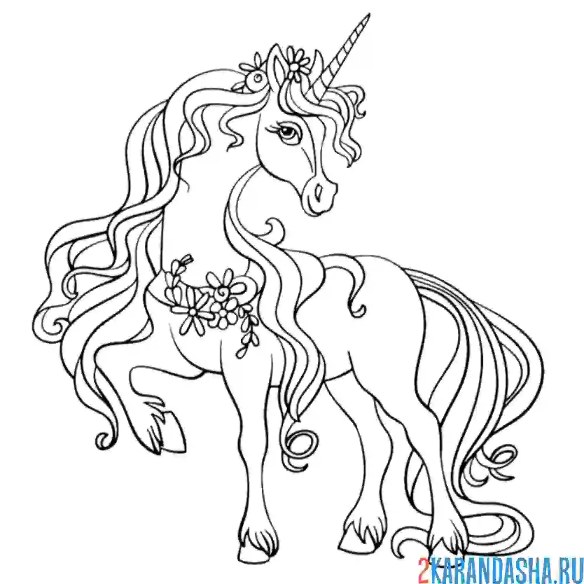 Раскраска красивая лошадка единорог