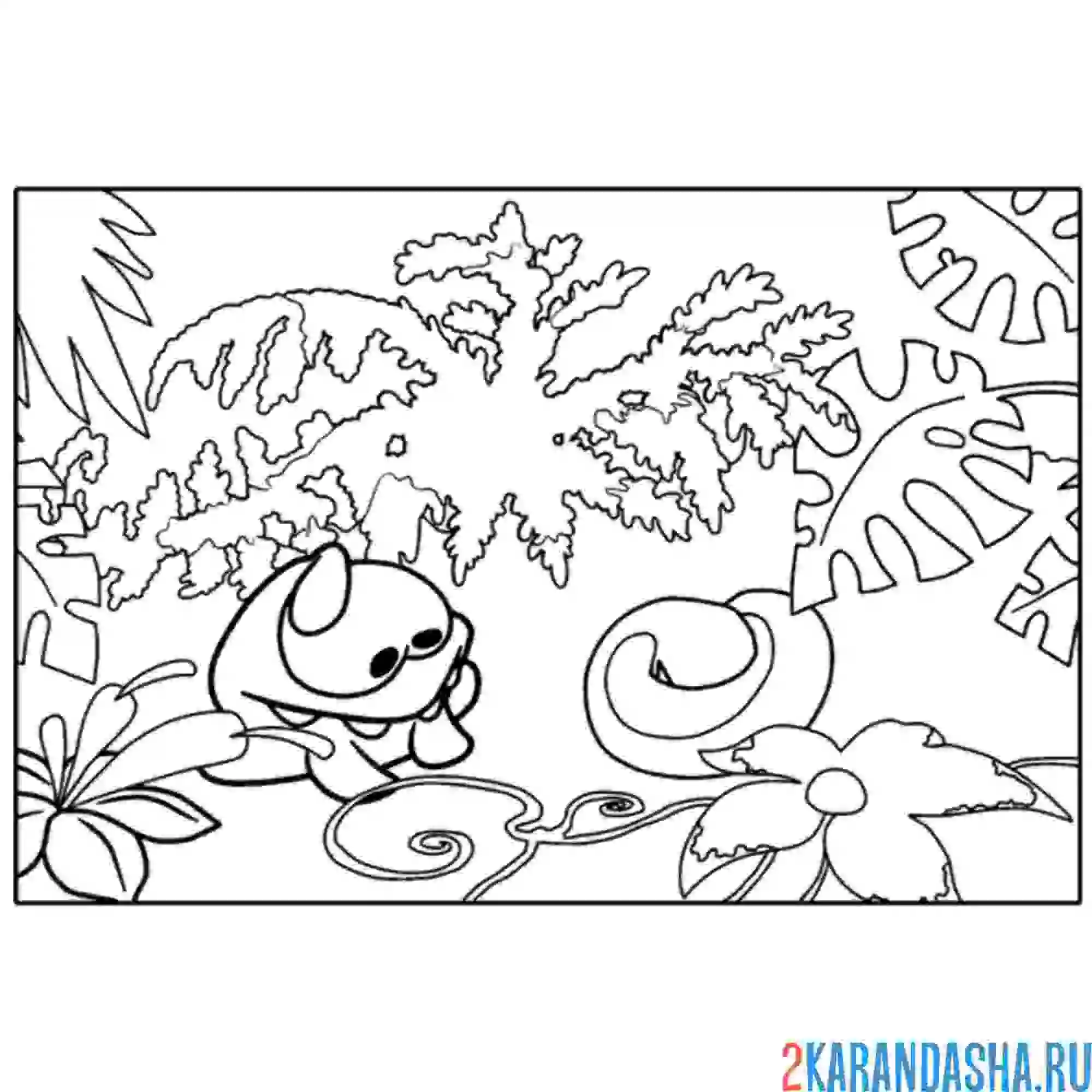 Раскраска ам-няма в тропиках