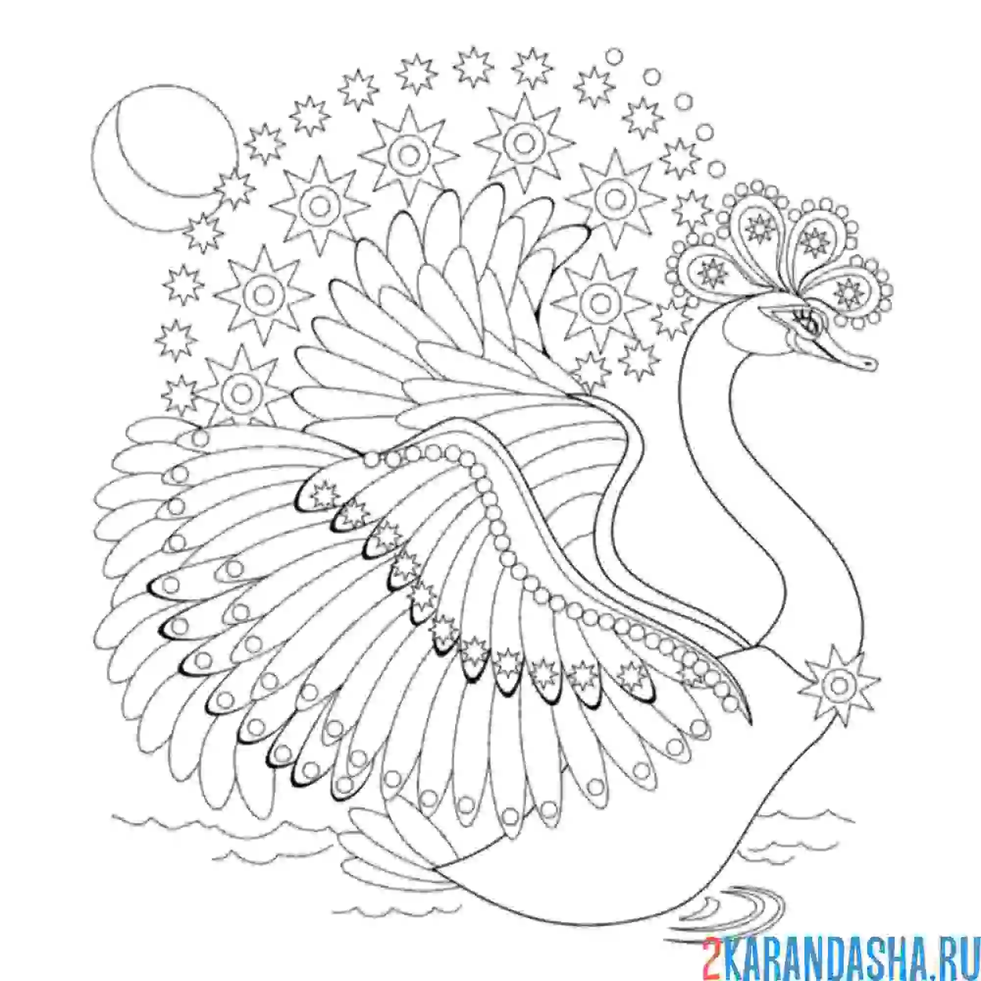 Раскраска лебедь в звездах