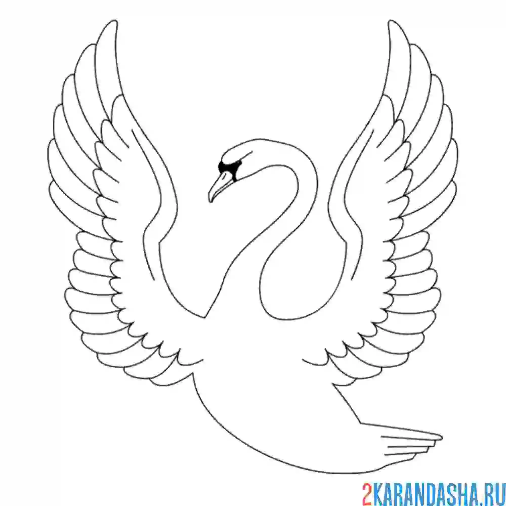 Раскраска мальчик-лебедь
