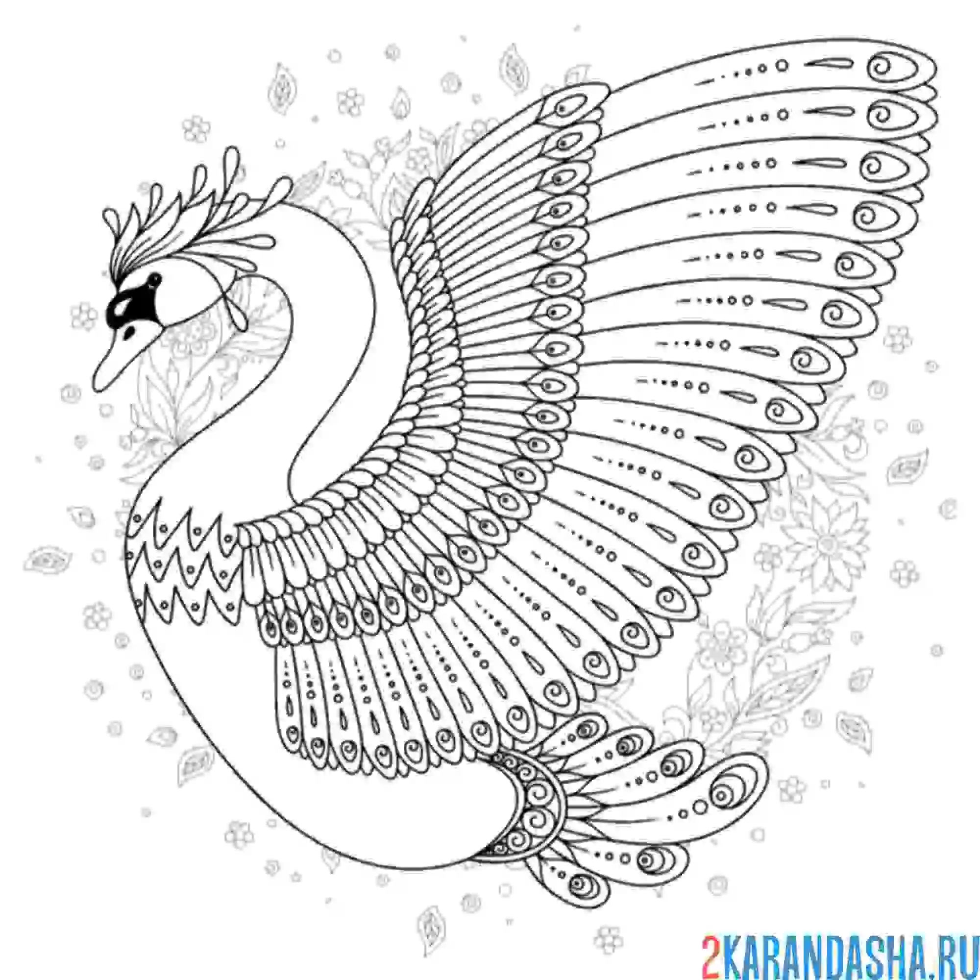 Раскраска красивый антистресс-лебедь