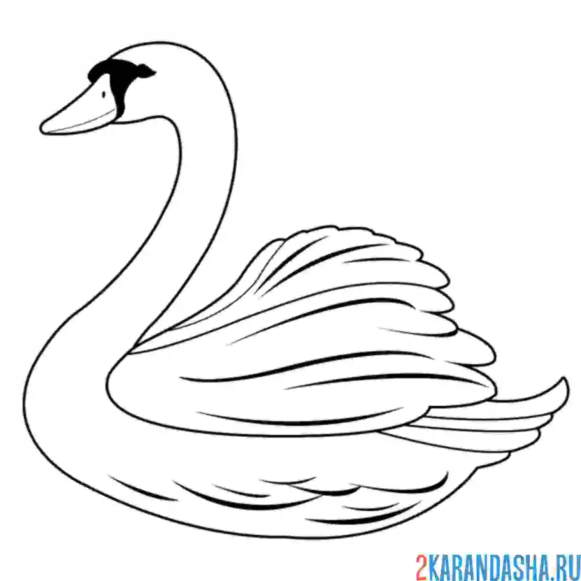 Раскраска один лебедь