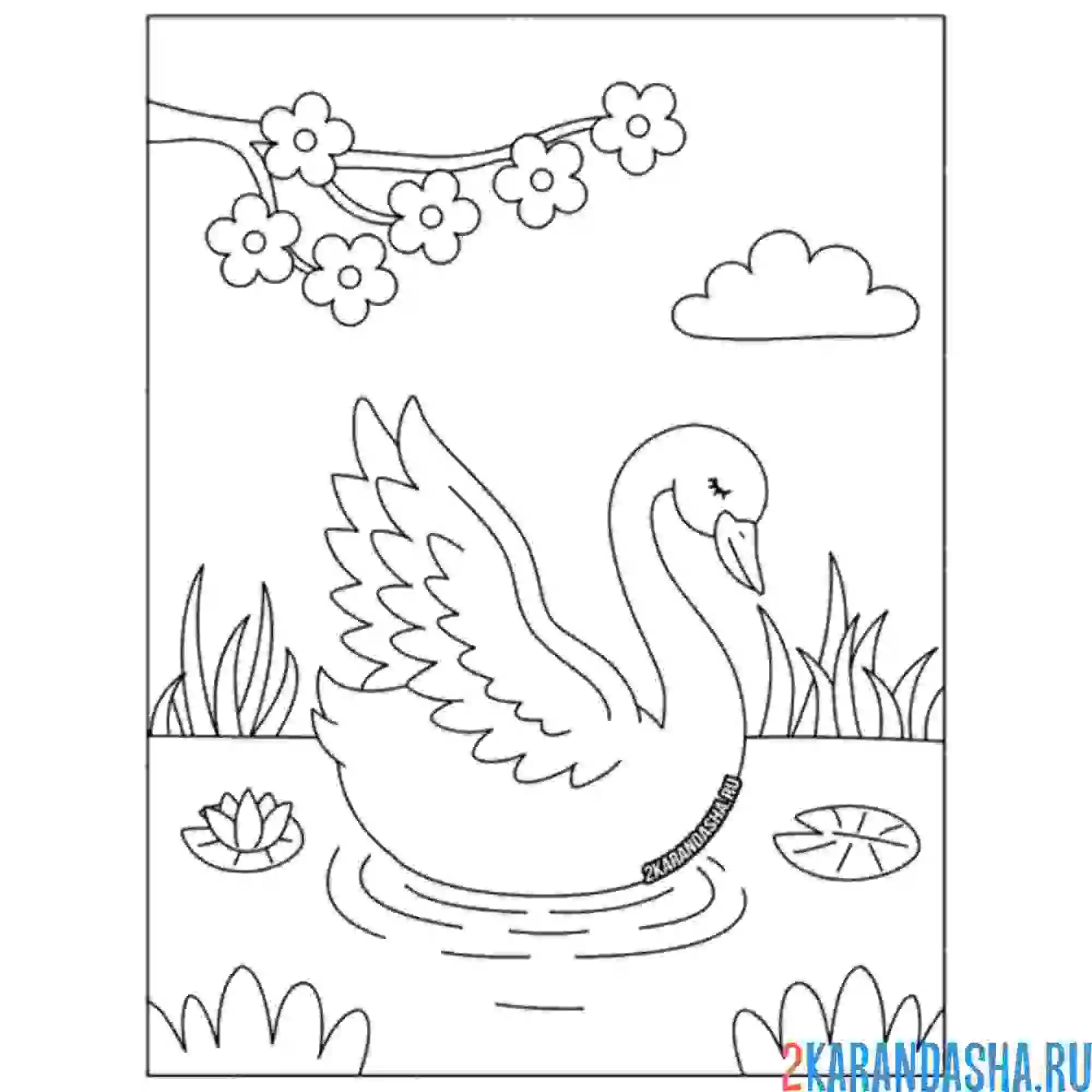 Раскраска лебедь на осеннем пруду
