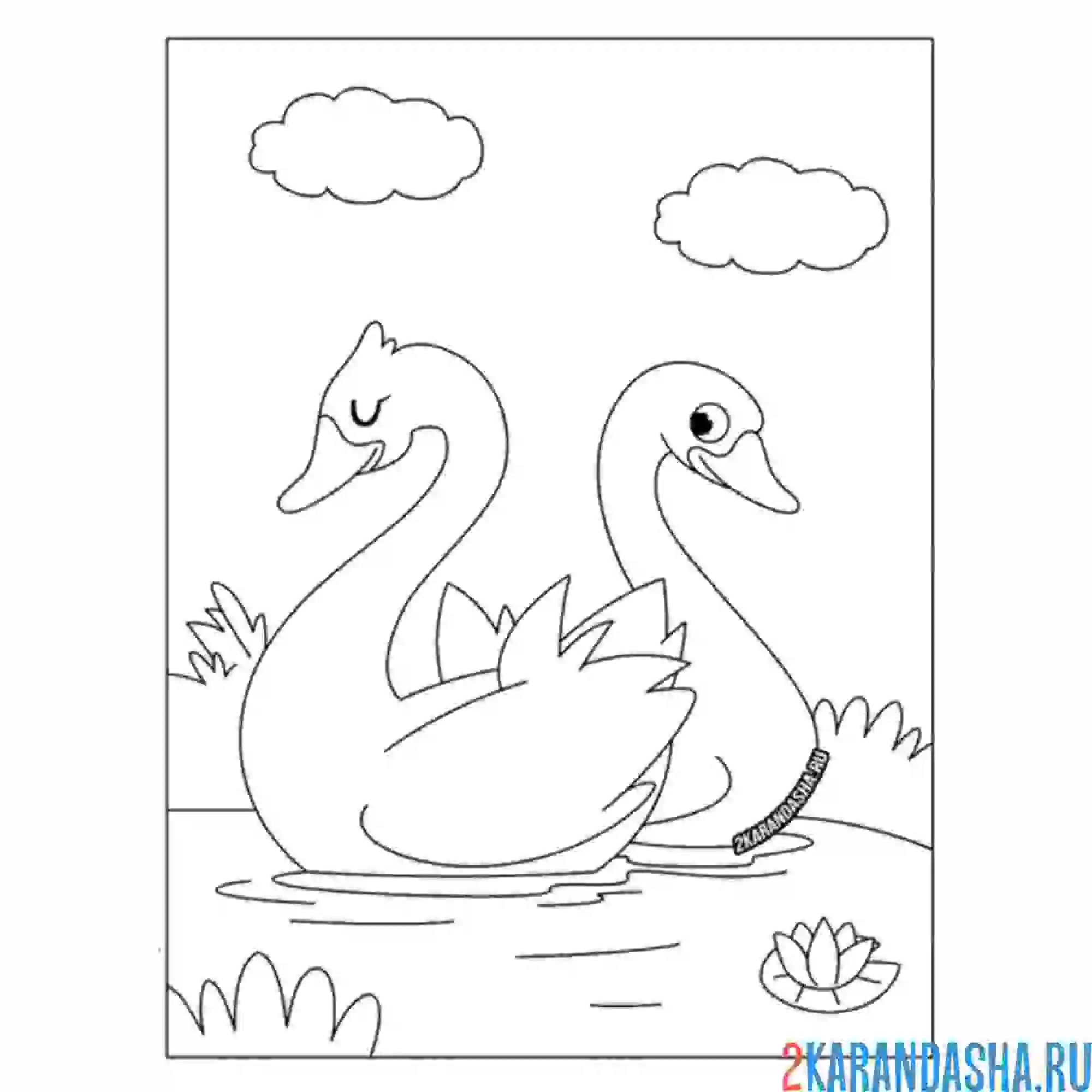 Раскраска два лебедя на пруду