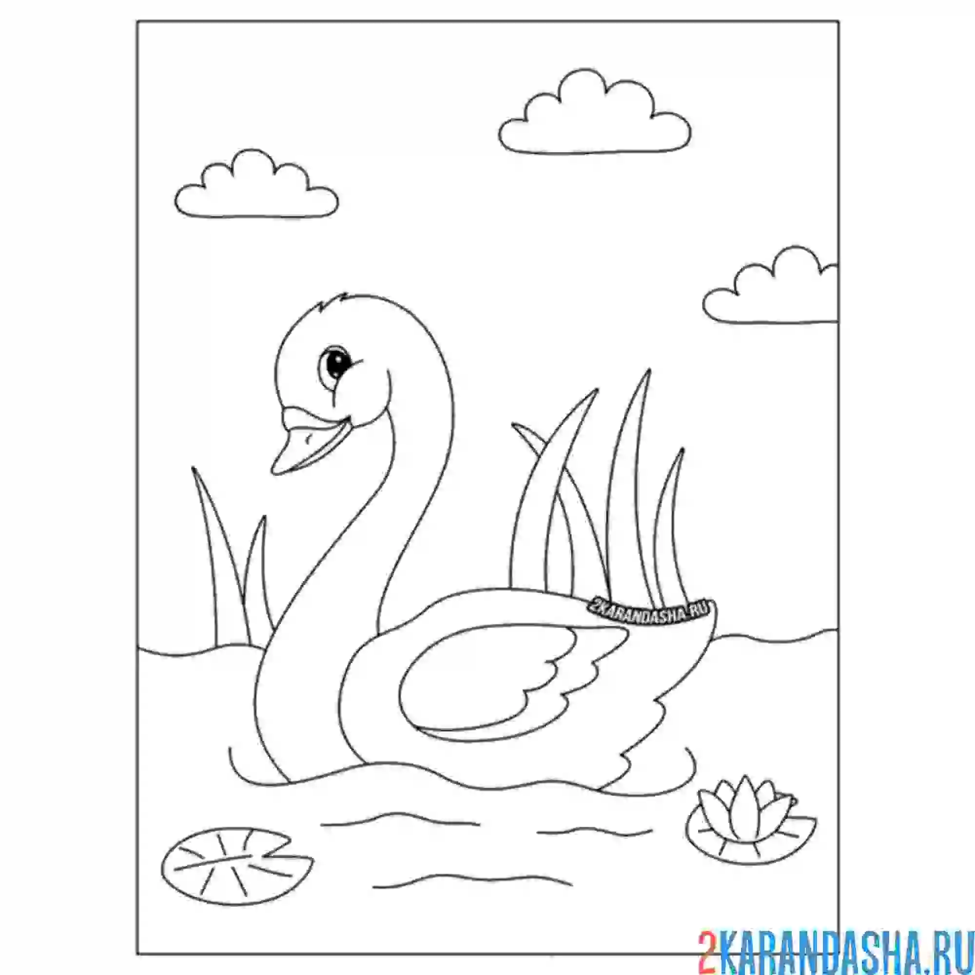 Раскраска лебедь в летнем пруду