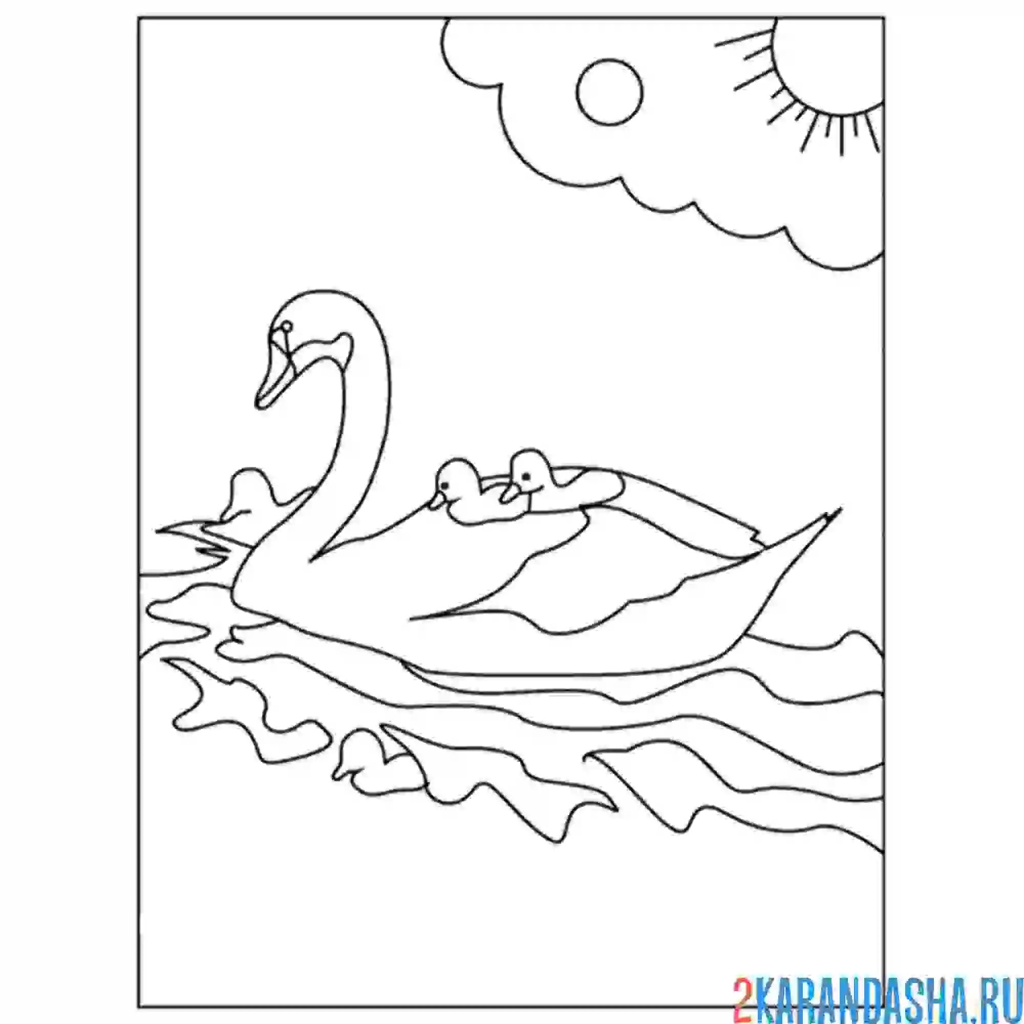 Раскраска лебедь и птенцы
