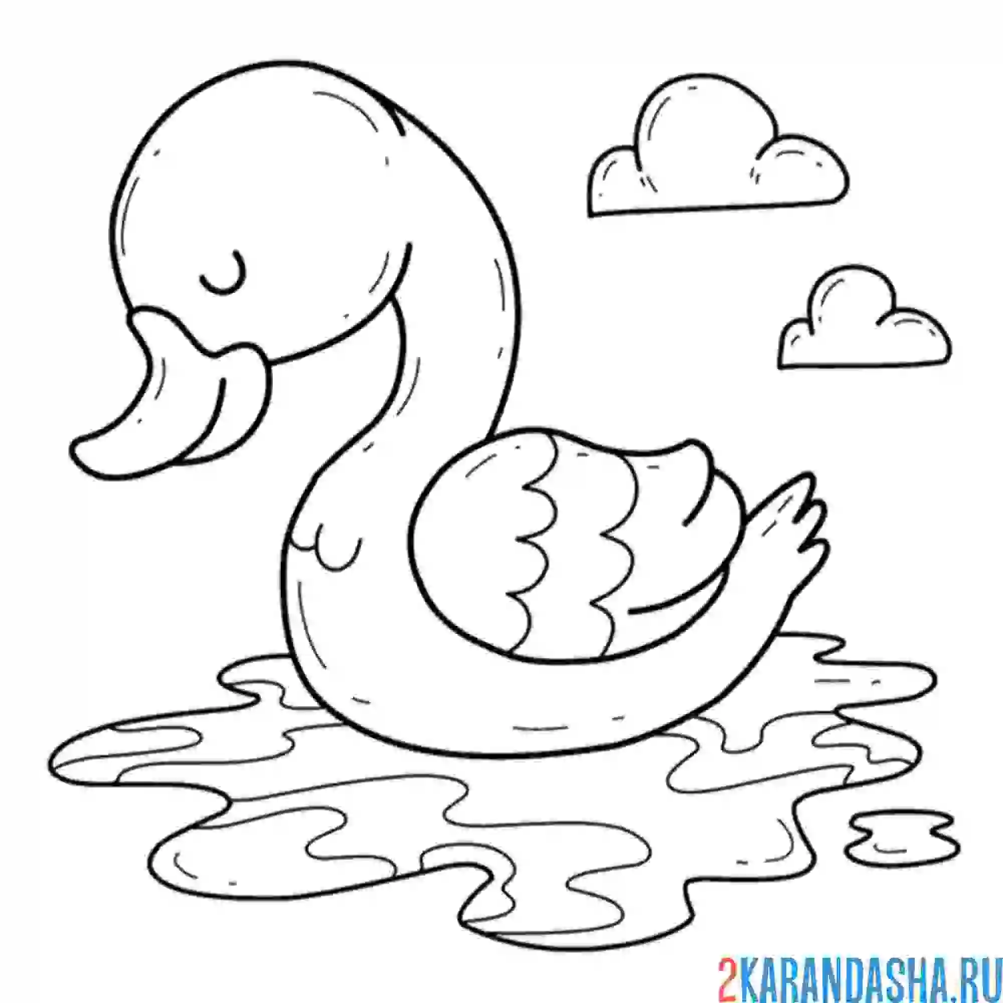 Раскраска лебедь думает