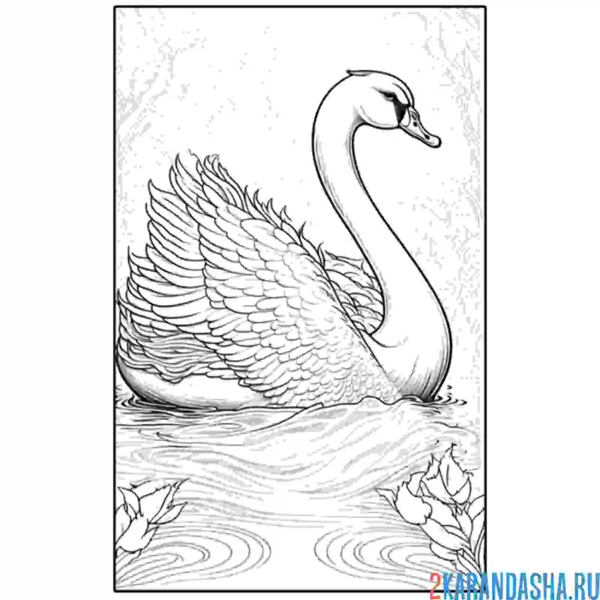 Раскраска рисунок лебедя