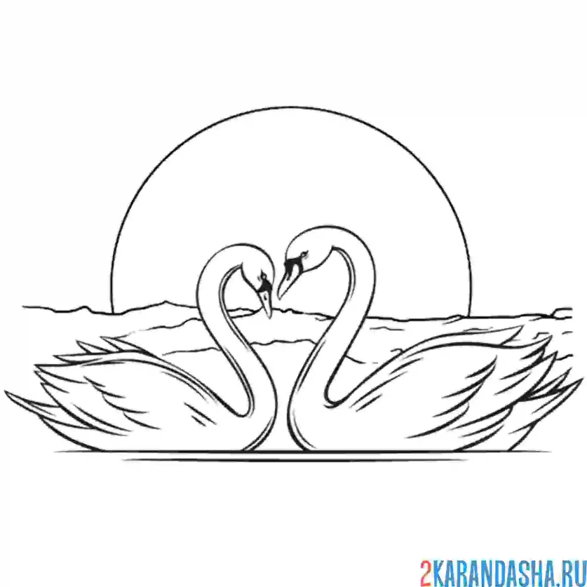 Раскраска влюбленные лебеди на закате