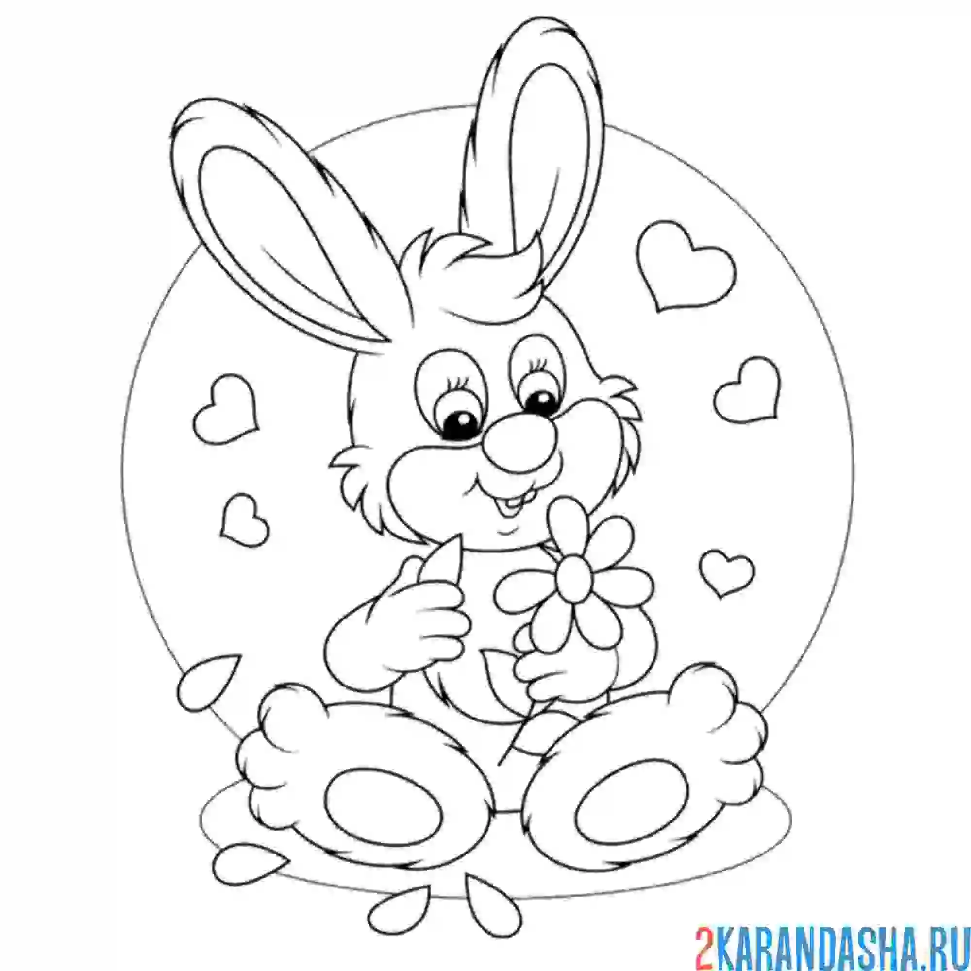 Раскраска кролик с цветочком