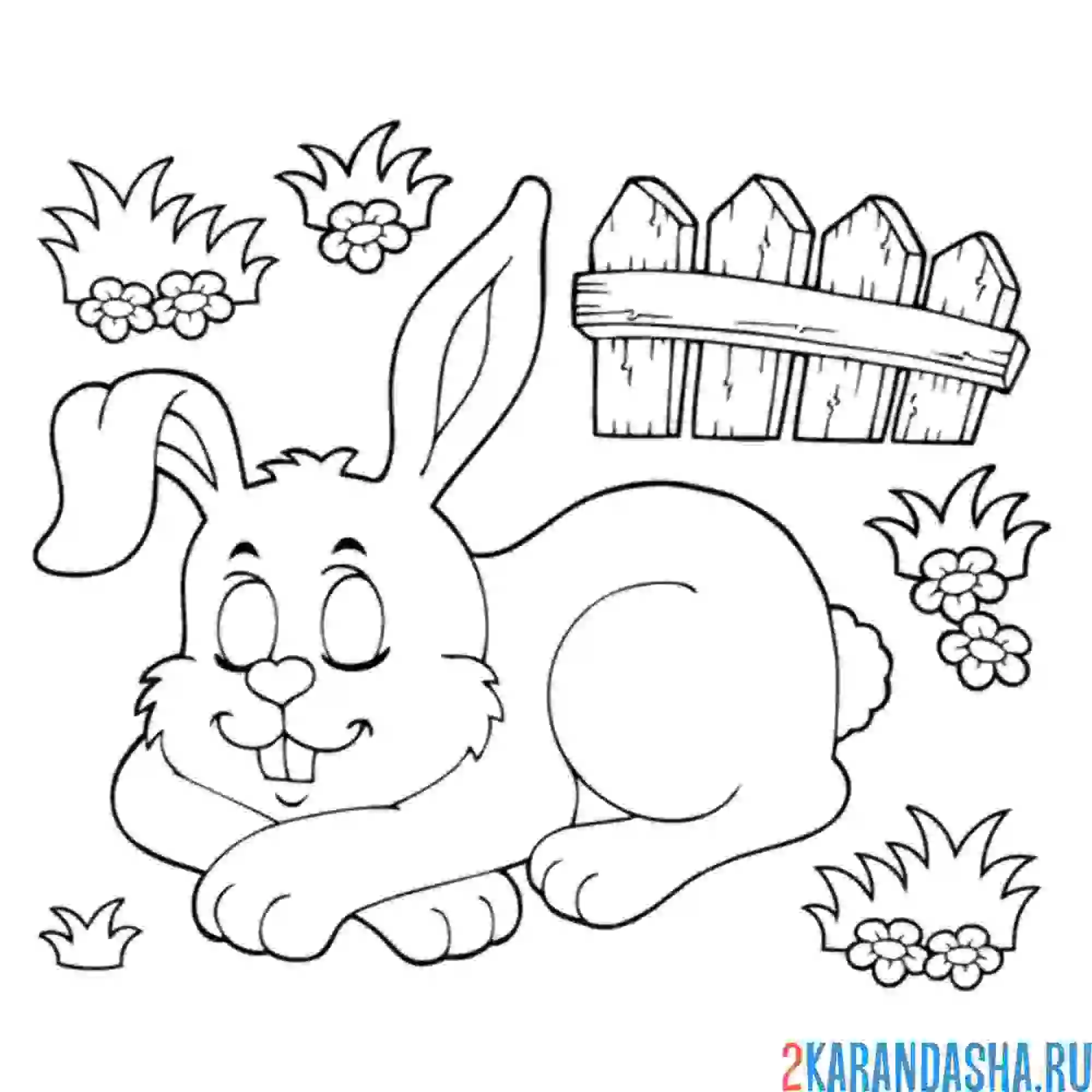 Раскраска зайка спит