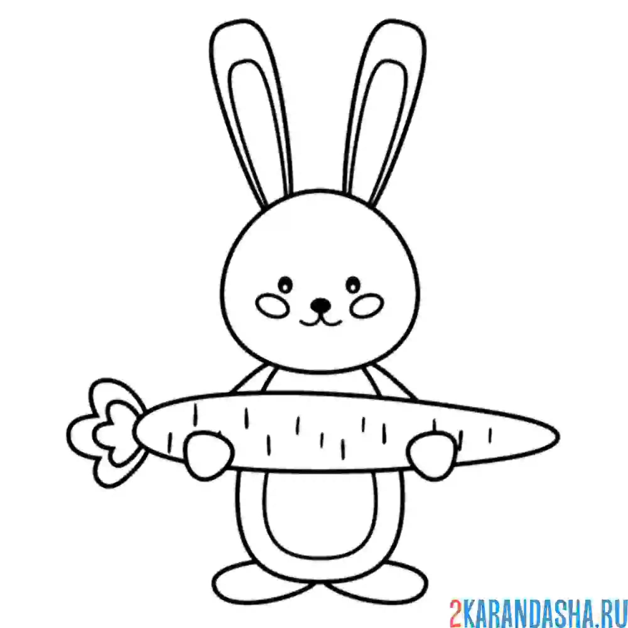 Раскраска заяц держит морковку кролик