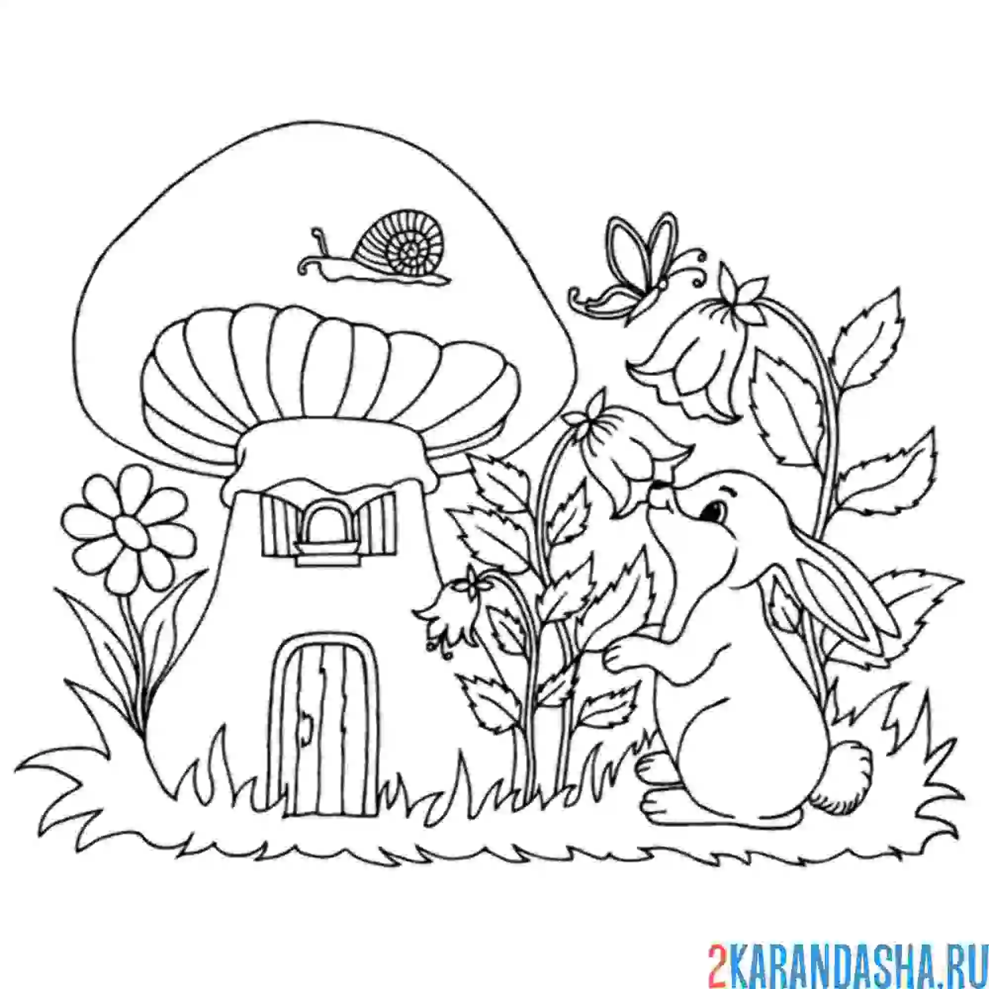 Раскраска дом зайца