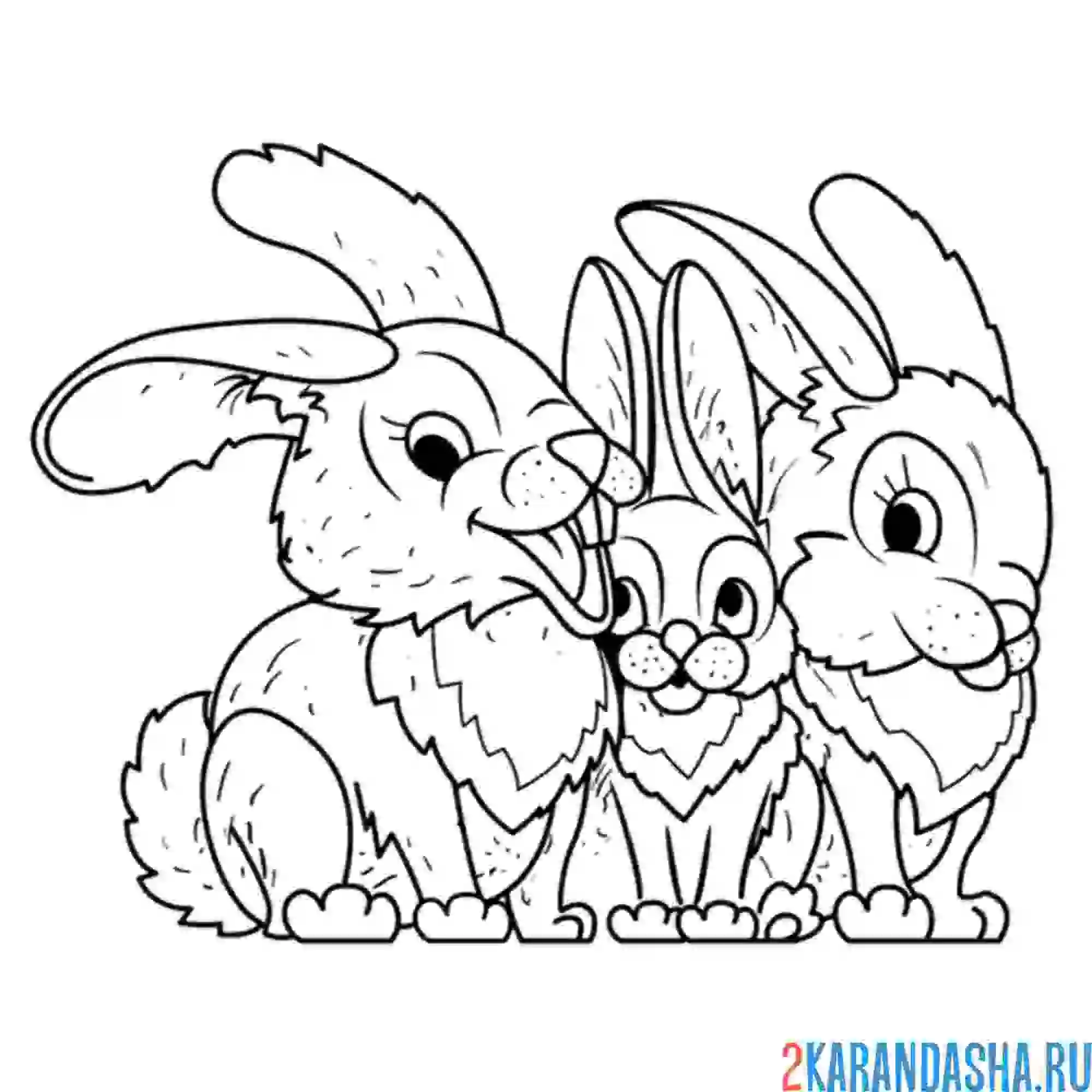 Раскраска семья зайцев
