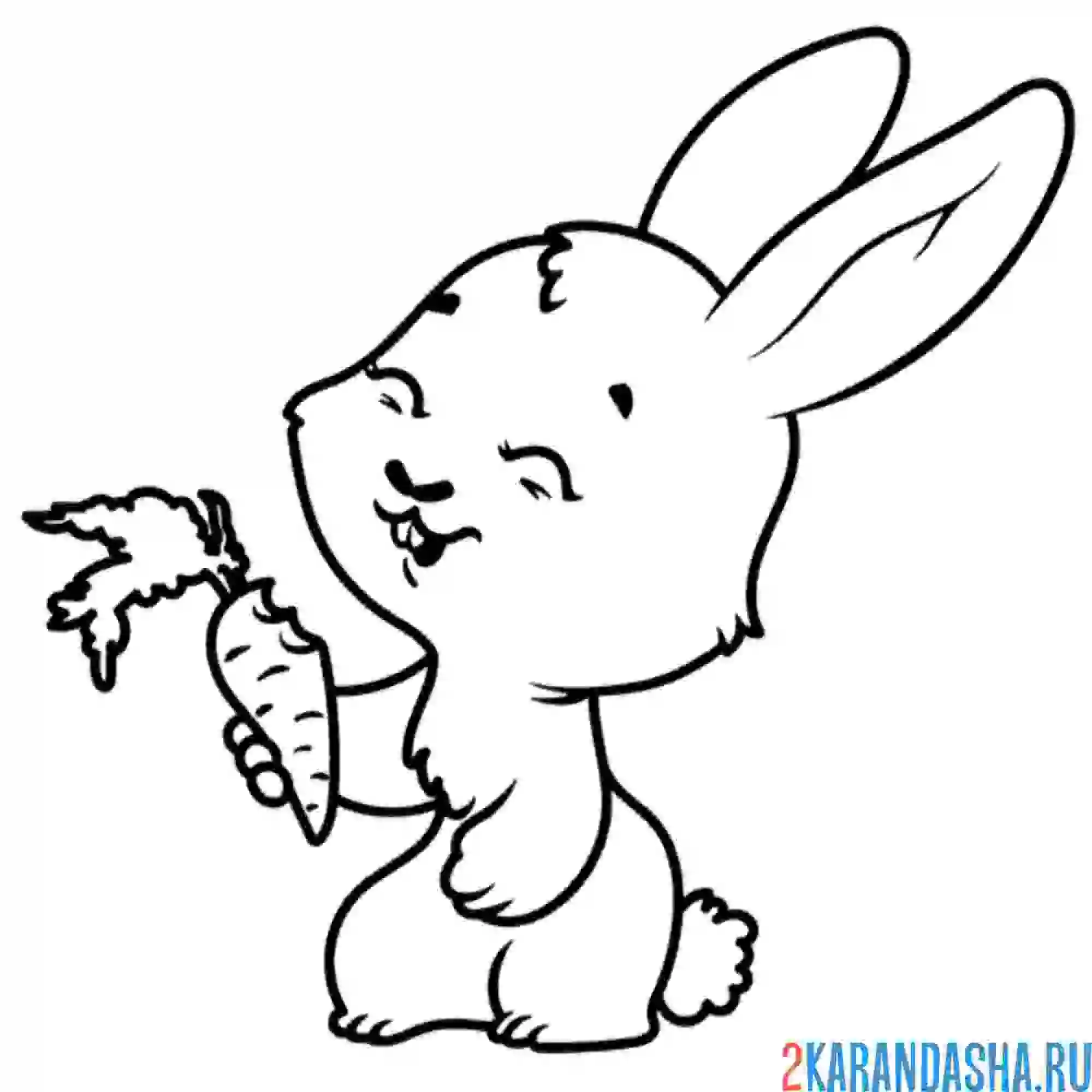 Раскраска заяц смеется и морковка