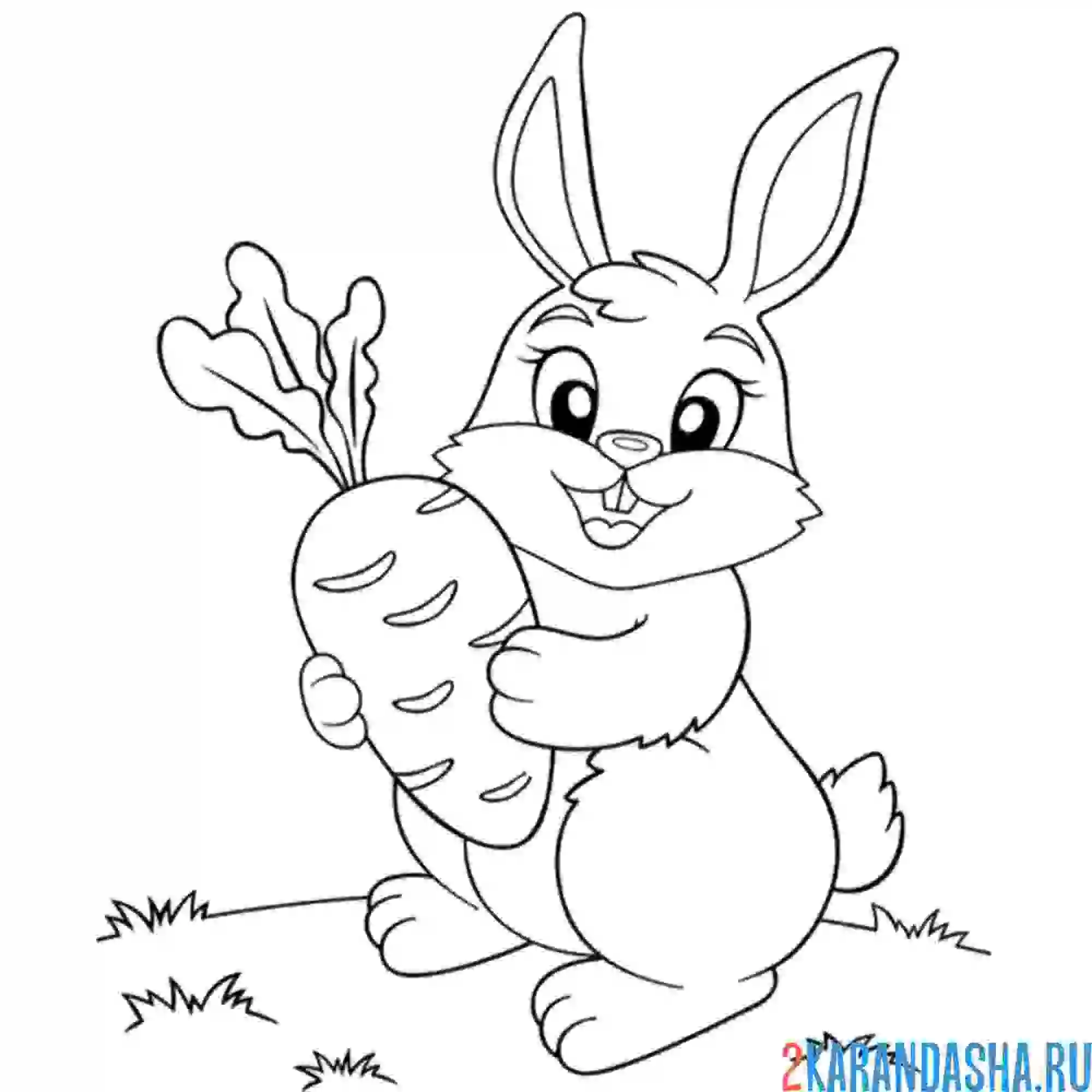 Раскраска зайка выдернул морковку