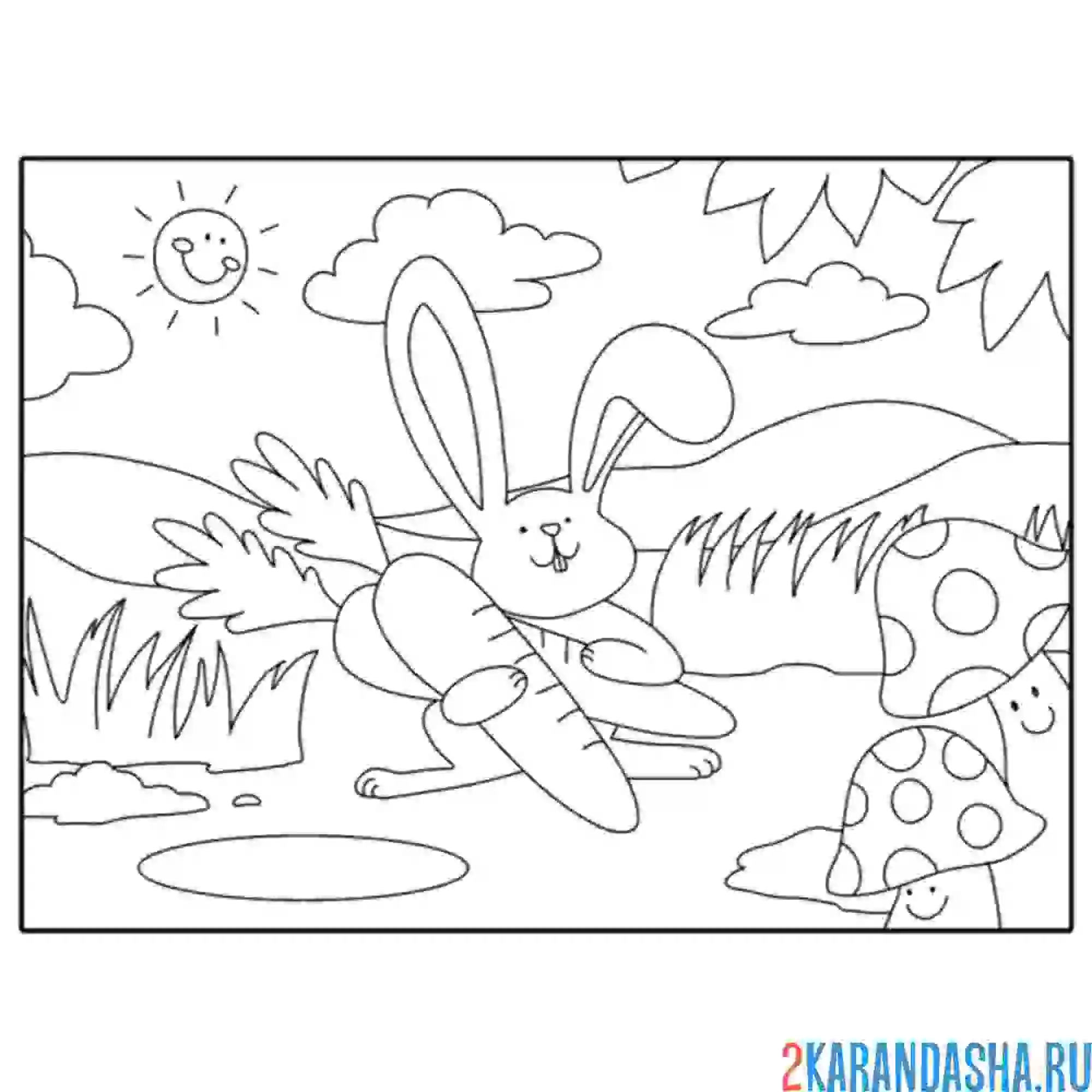 Раскраска заяц на лужайке