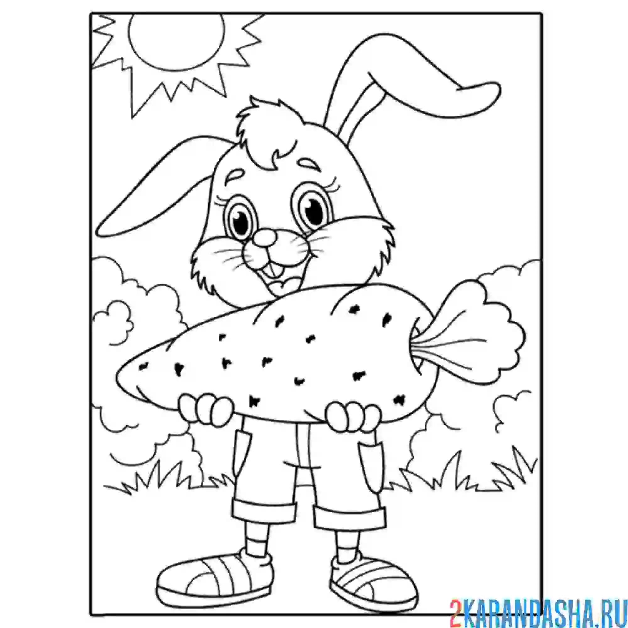 Раскраска заяц кролик с огромной морковью