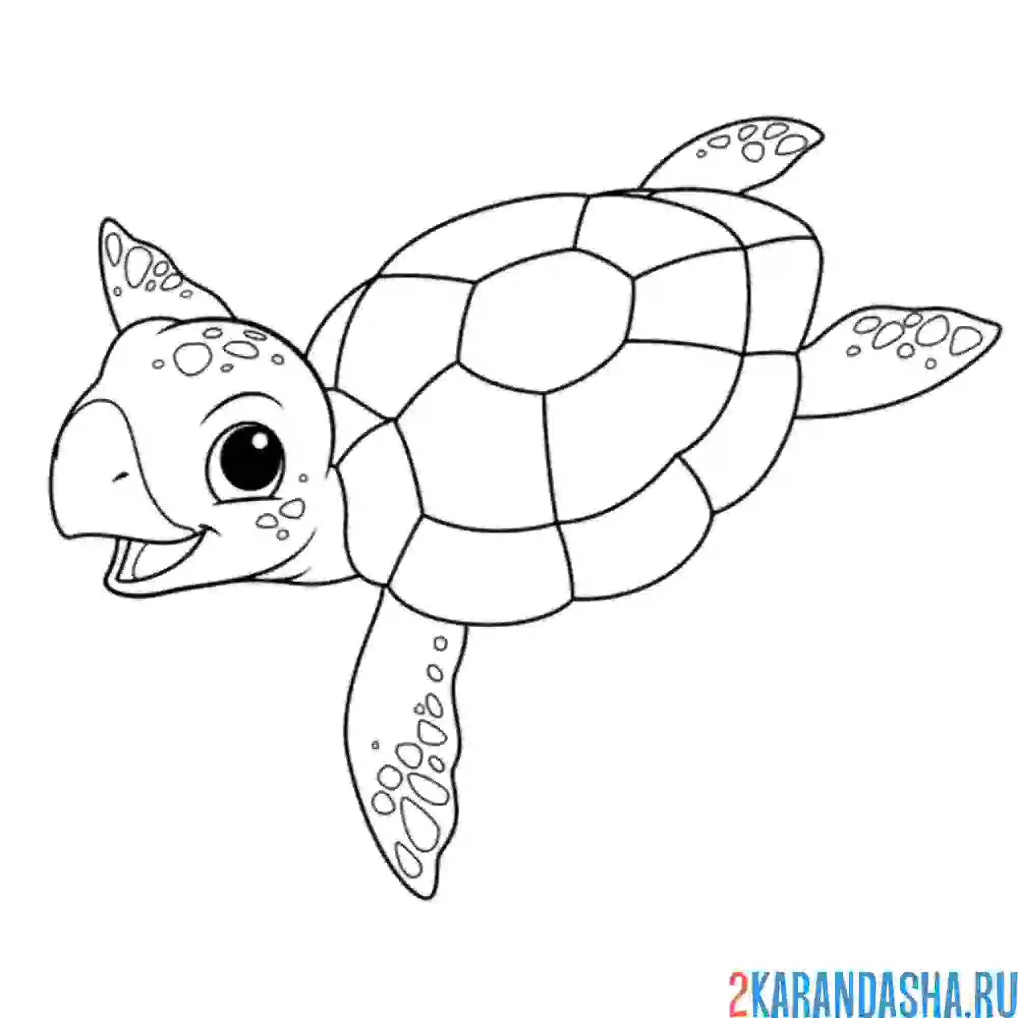 Раскраска морская черепаха улыбается