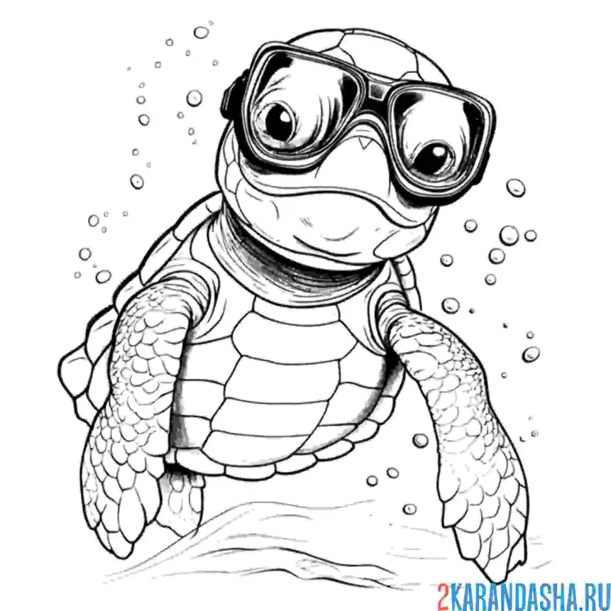 Раскраска черепаха в маске