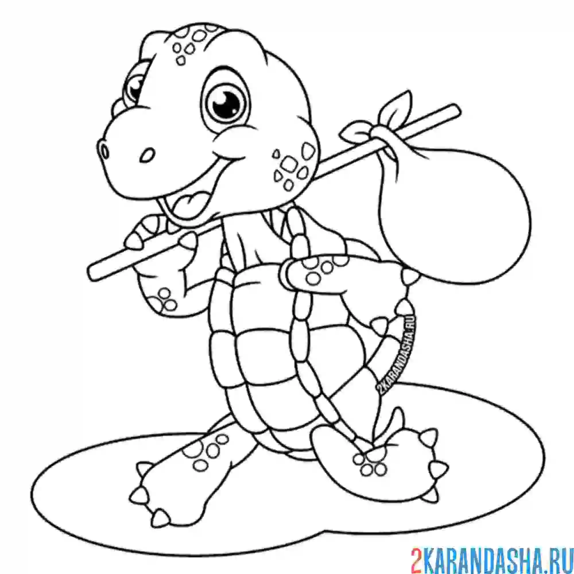 Раскраска черепаха-путешественник