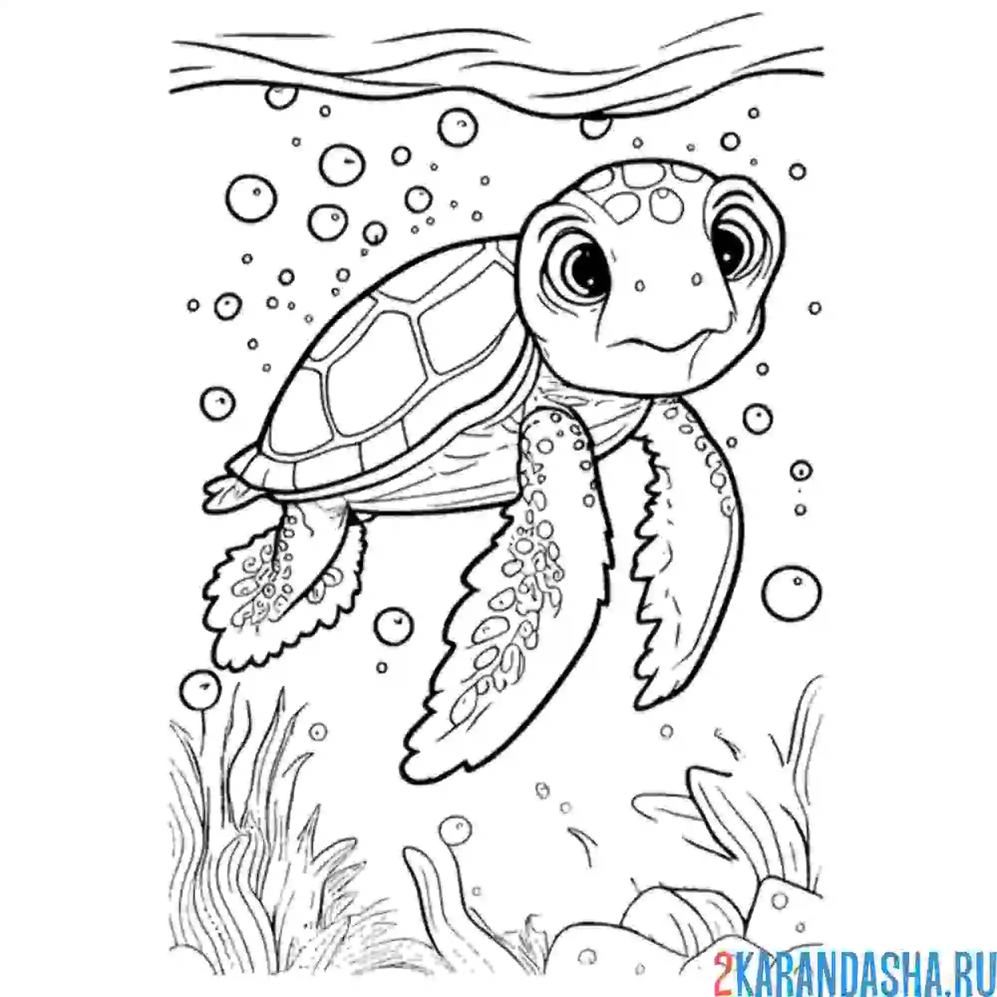 Раскраска черепаха под водой