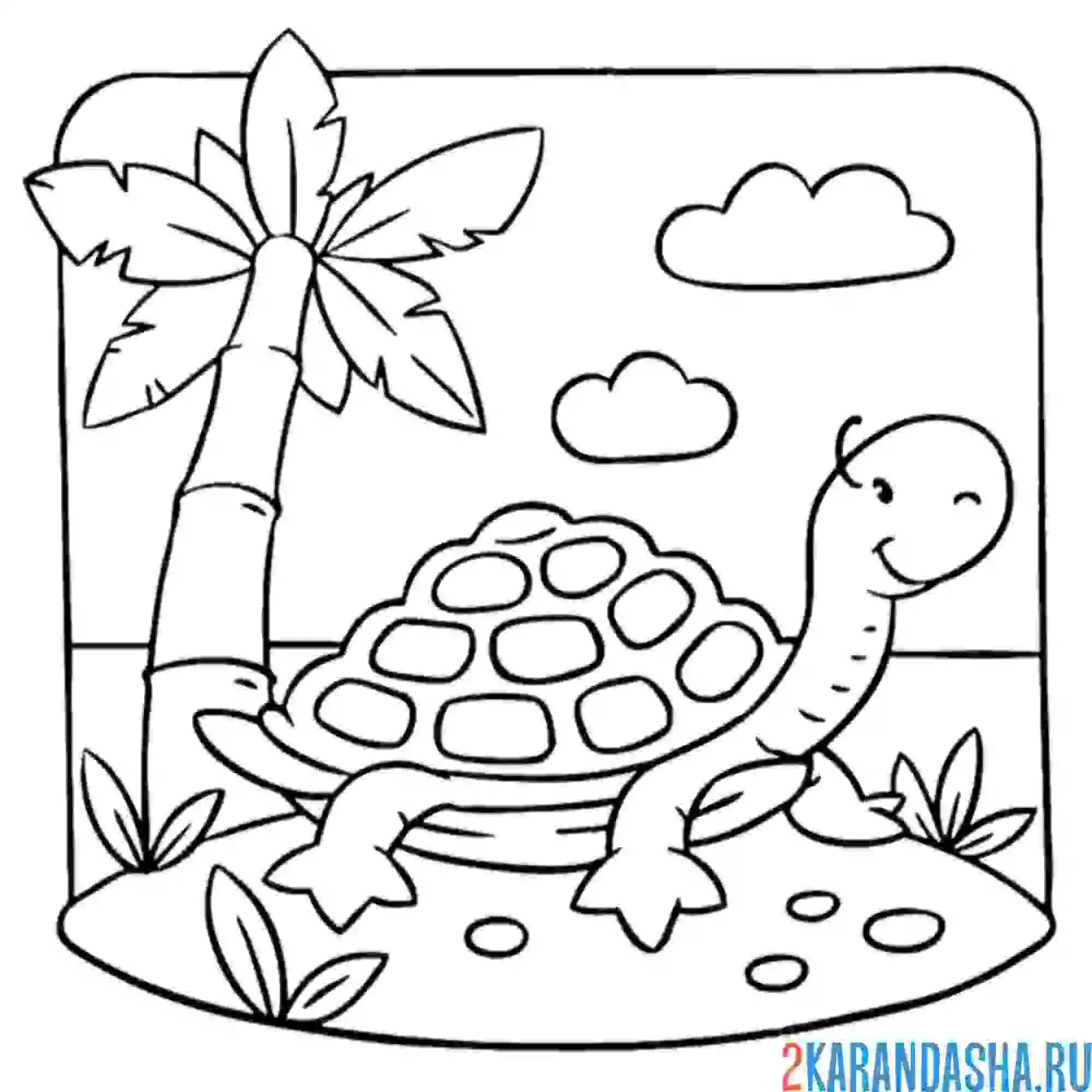 Раскраска черепаха на острове