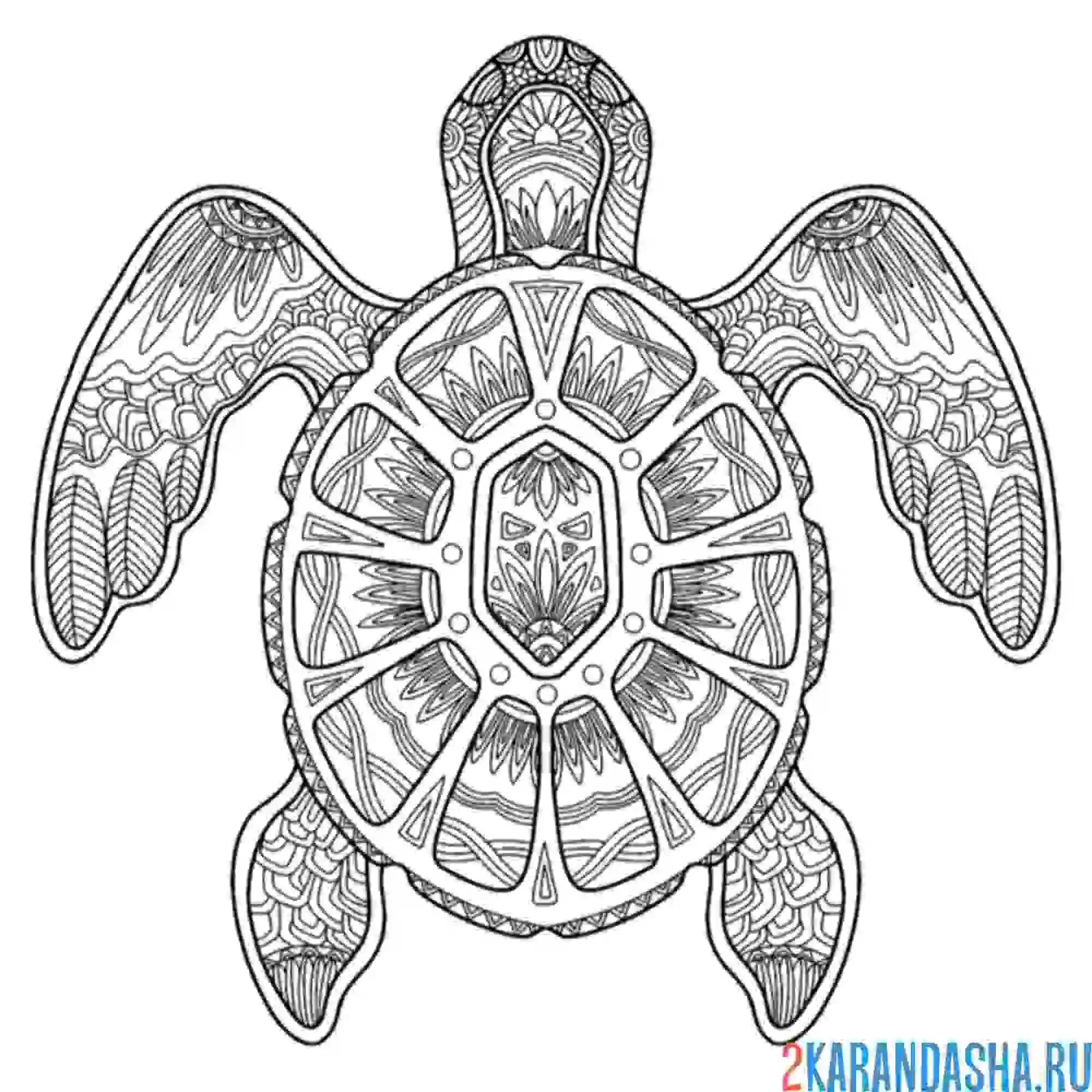 Раскраска арт черепаха