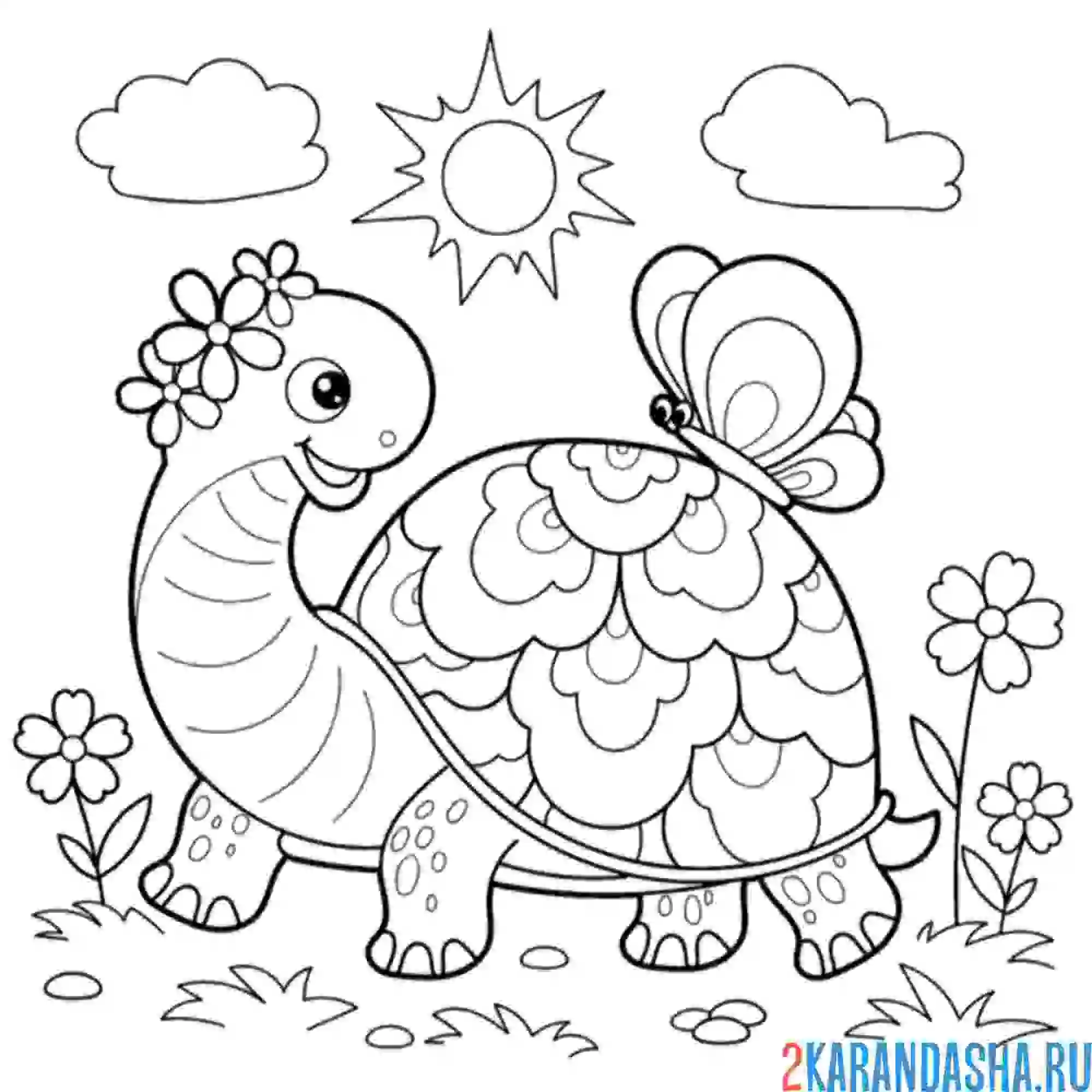 Раскраска черепаха и бабочка