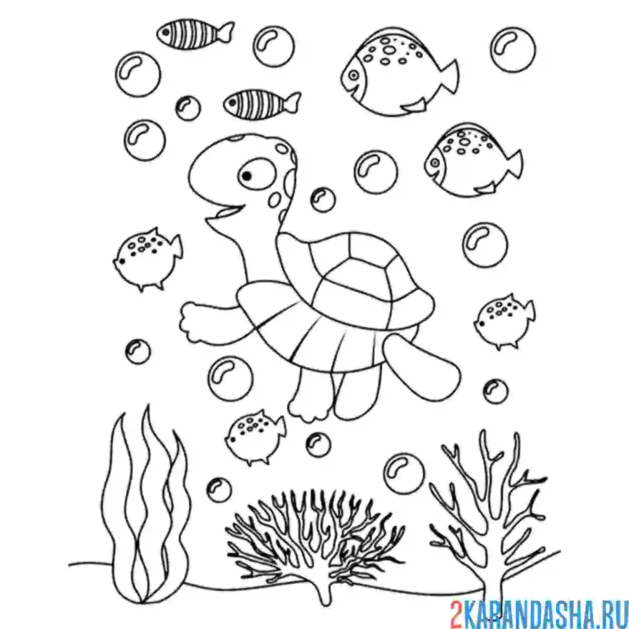 Раскраска черепаха и много рыб