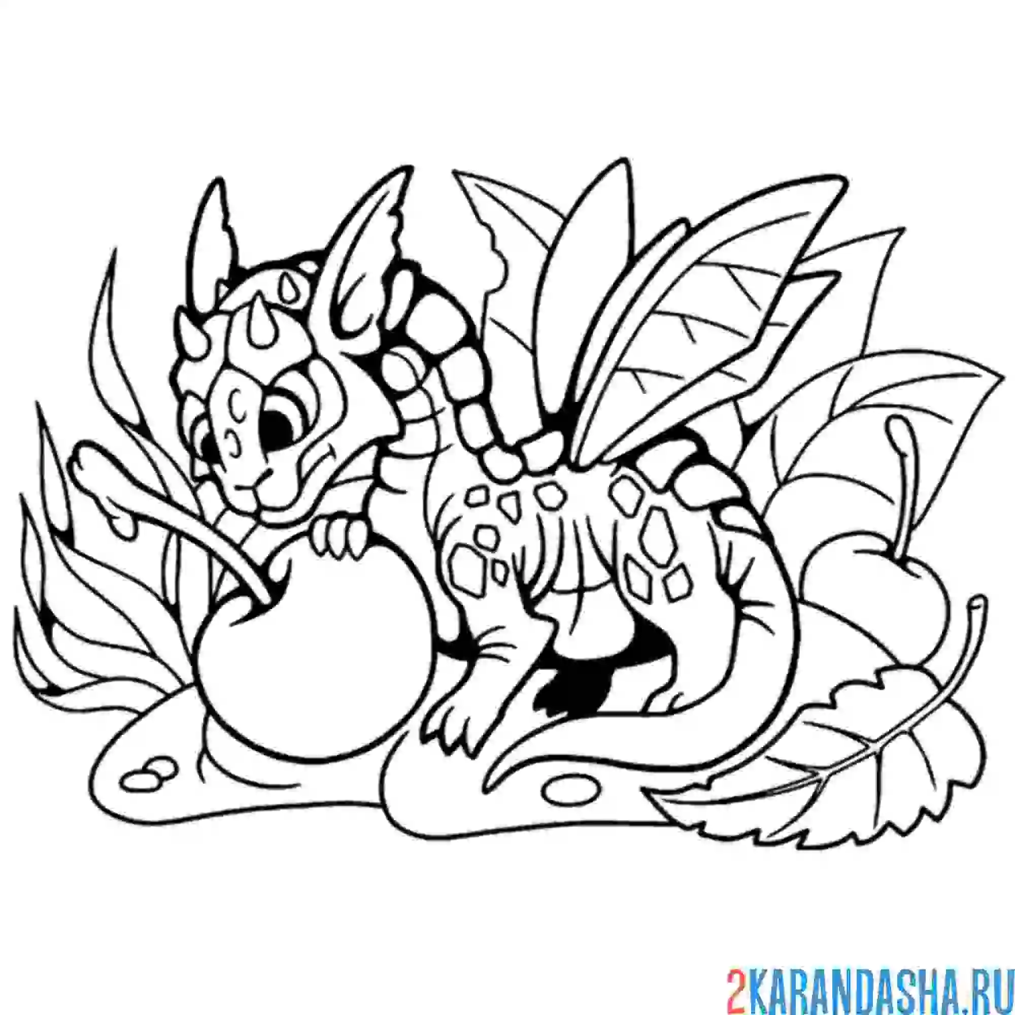 Раскраска дракон и яблоко