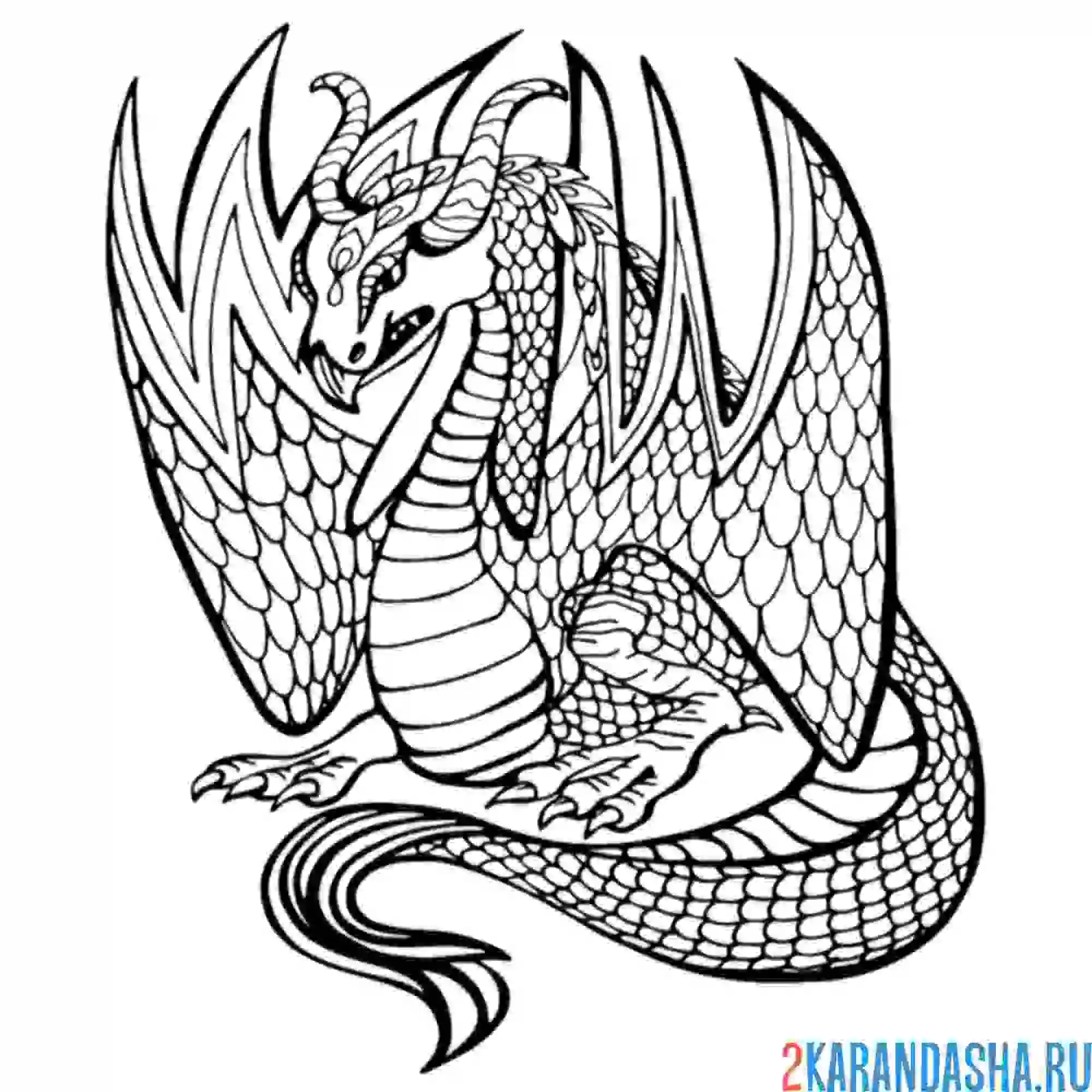 Раскраска арт дракон