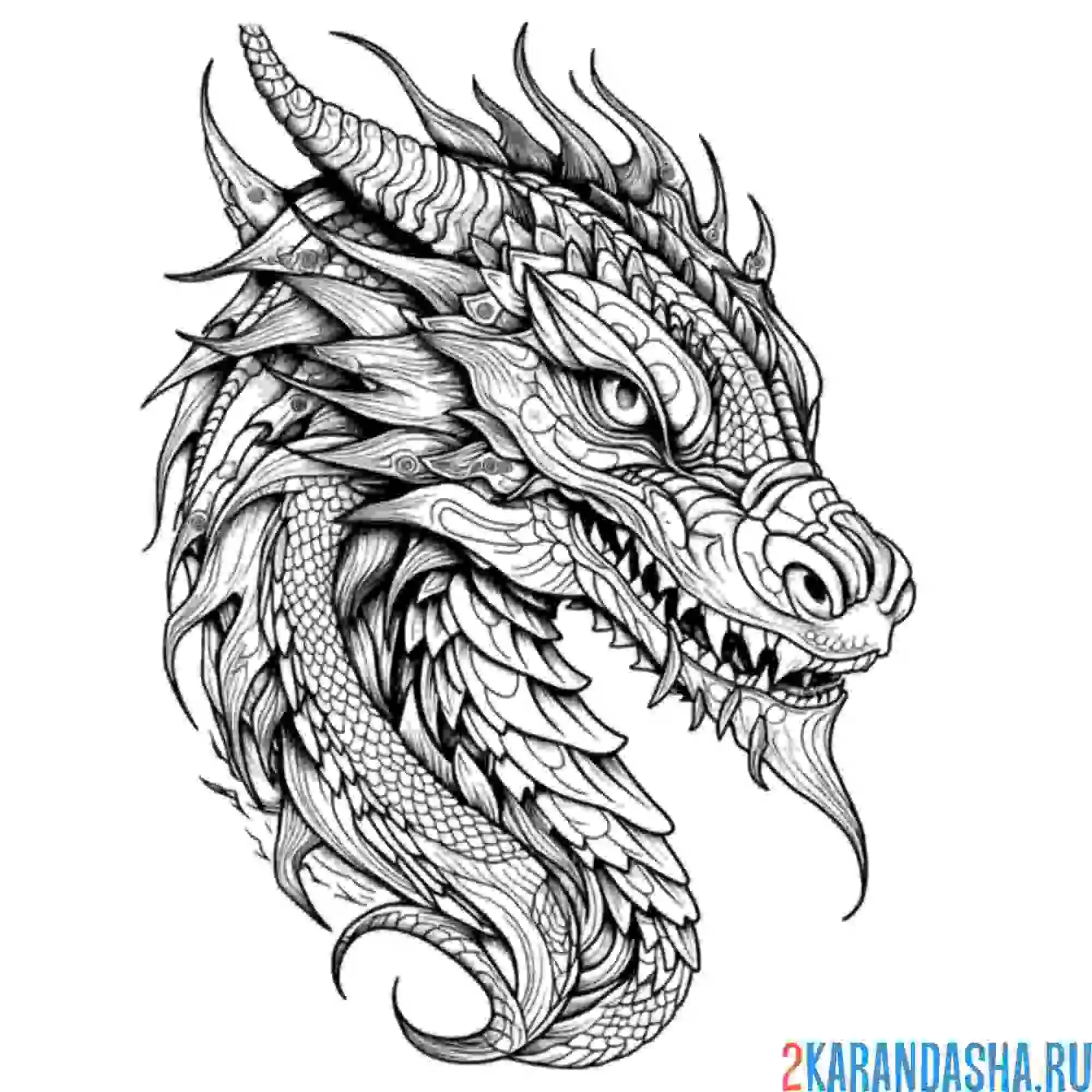 Раскраска голова опасного дракона