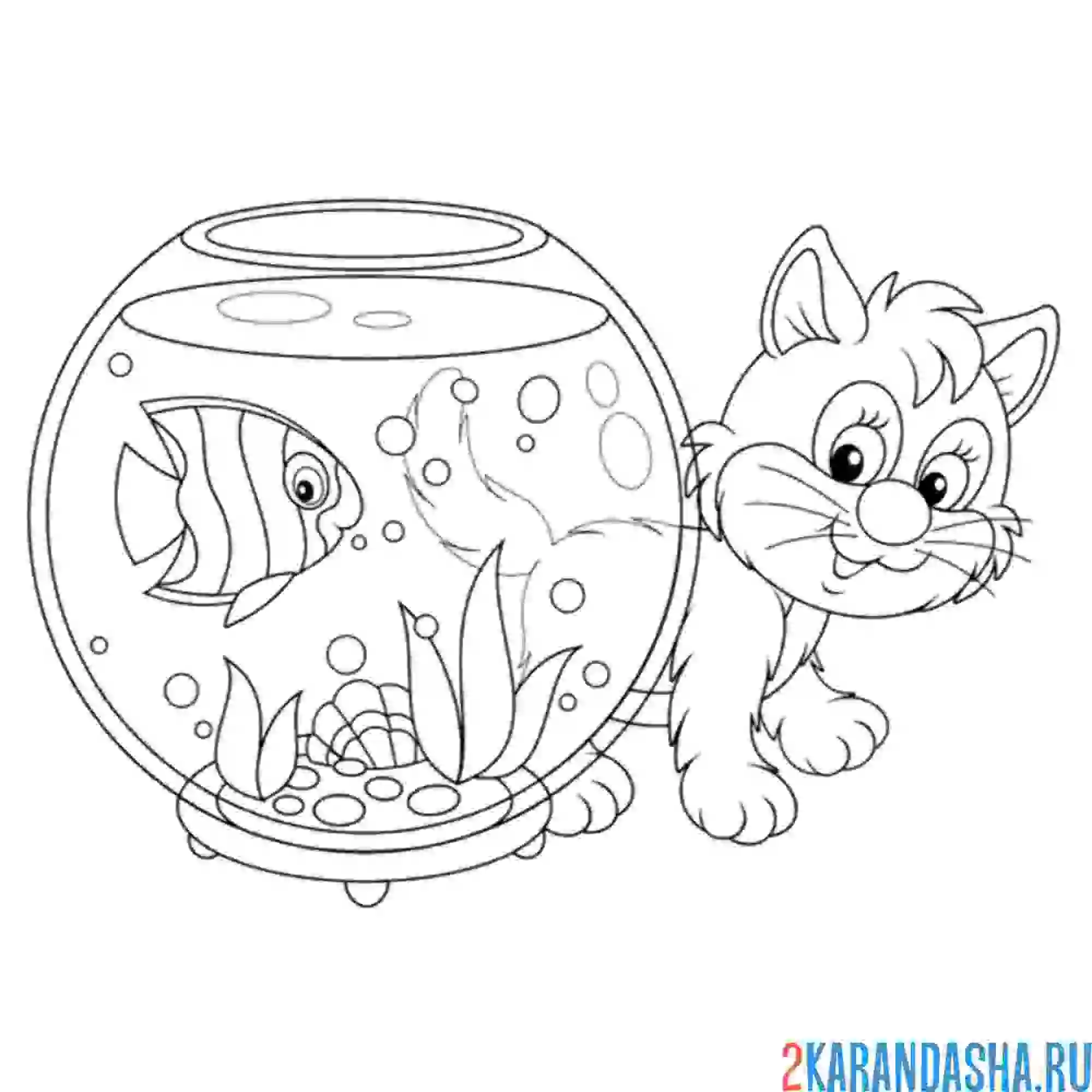 Раскраска котик и аквариум